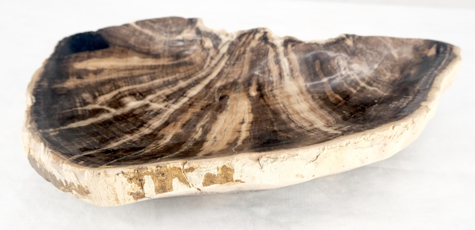 EstablishedLines Organic Liver Shape Black & Tan Petrified Wood Tray Bowl Dish Plate Ashtray