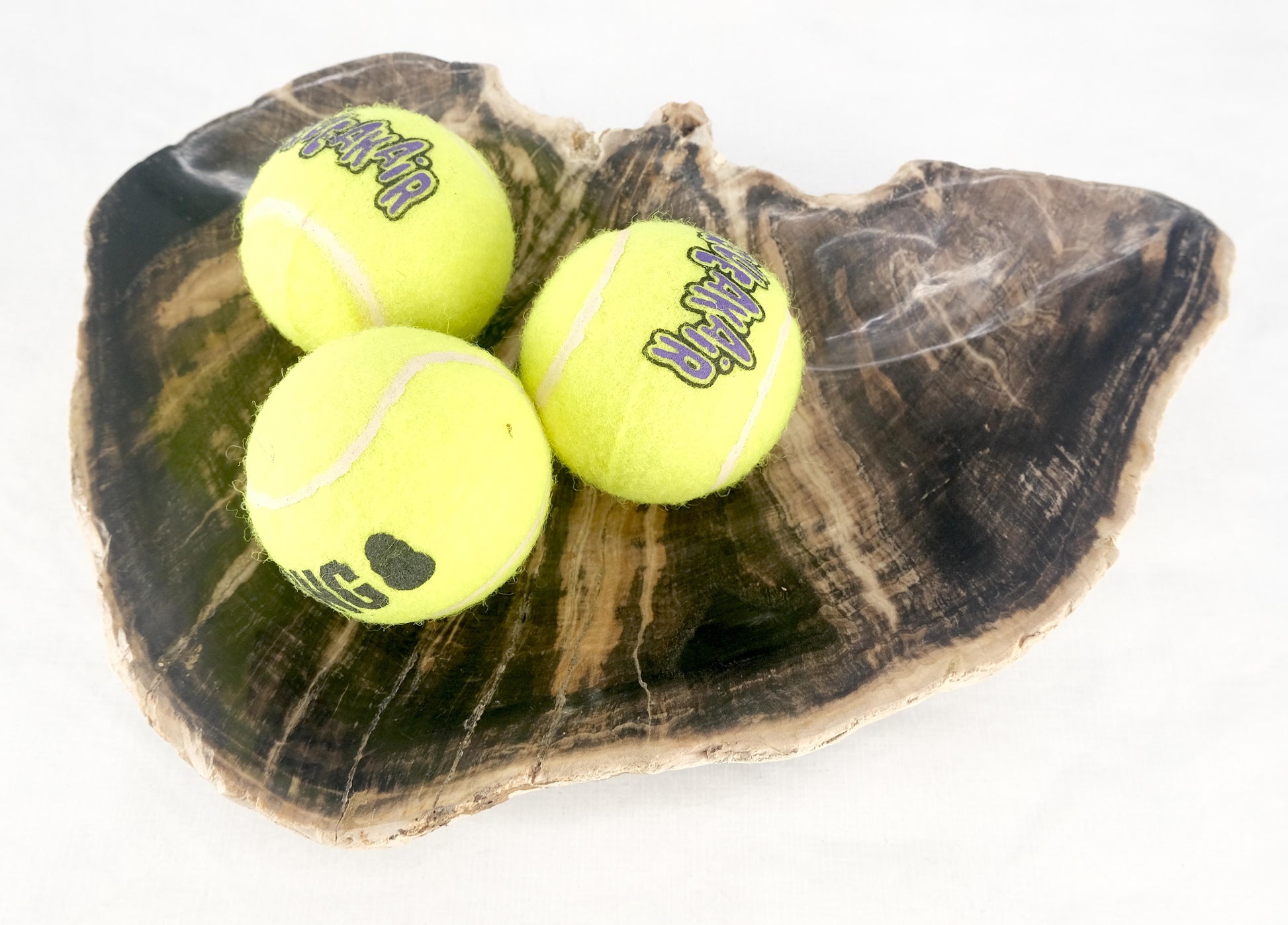 EstablishedLines Organic Liver Shape Black & Tan Petrified Wood Tray Bowl Dish Plate Ashtray
