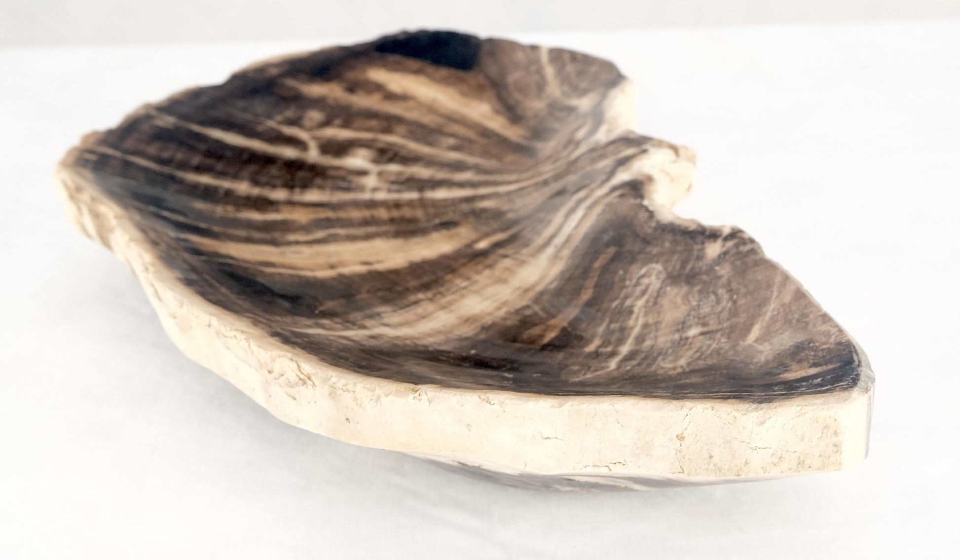 EstablishedLines Organic Liver Shape Black & Tan Petrified Wood Tray Bowl Dish Plate Ashtray