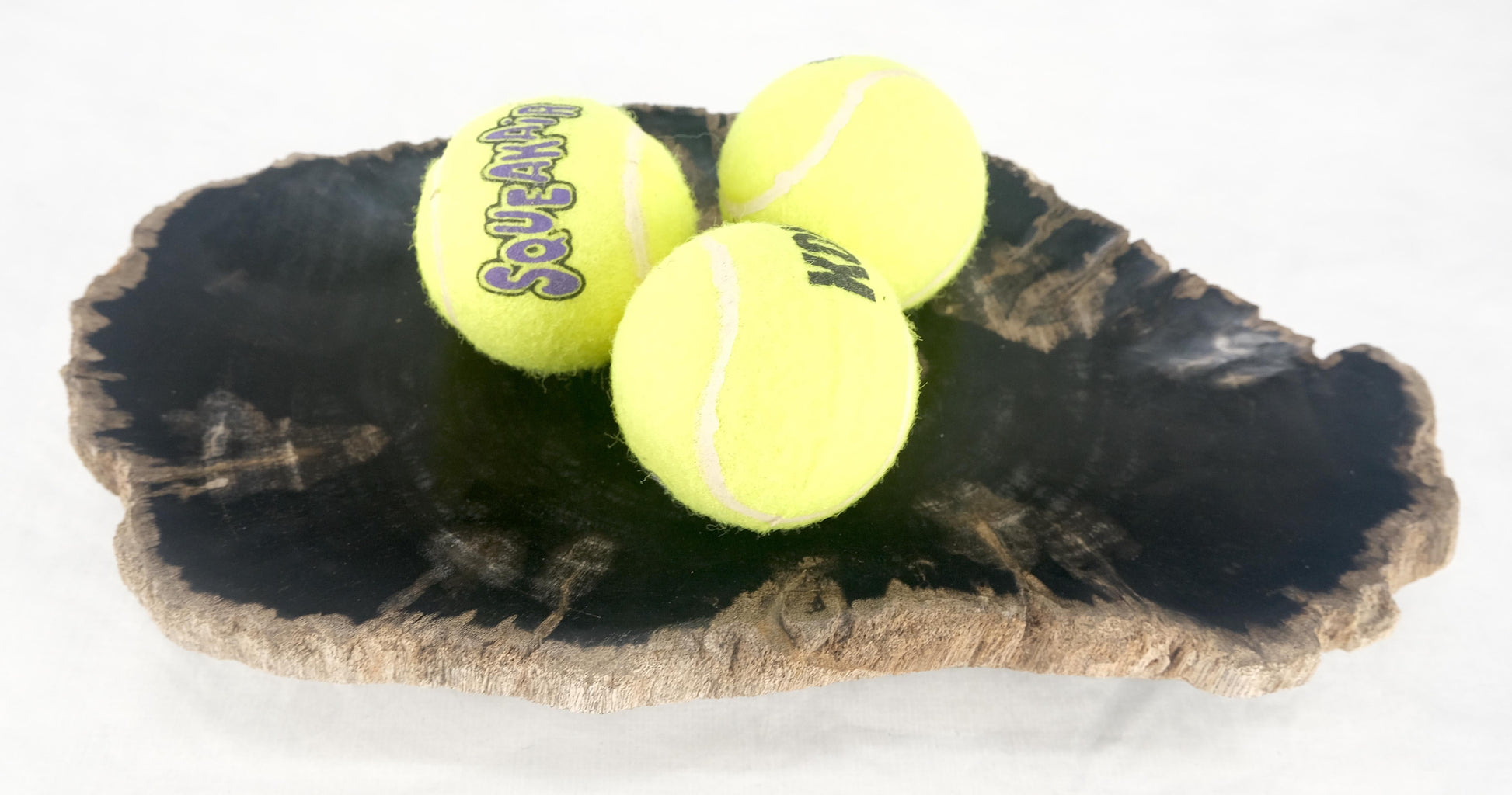 EstablishedLines Organic Brain Shape Black & Tan Petrified Wood Tray Bowl Dish Plate Ashtray