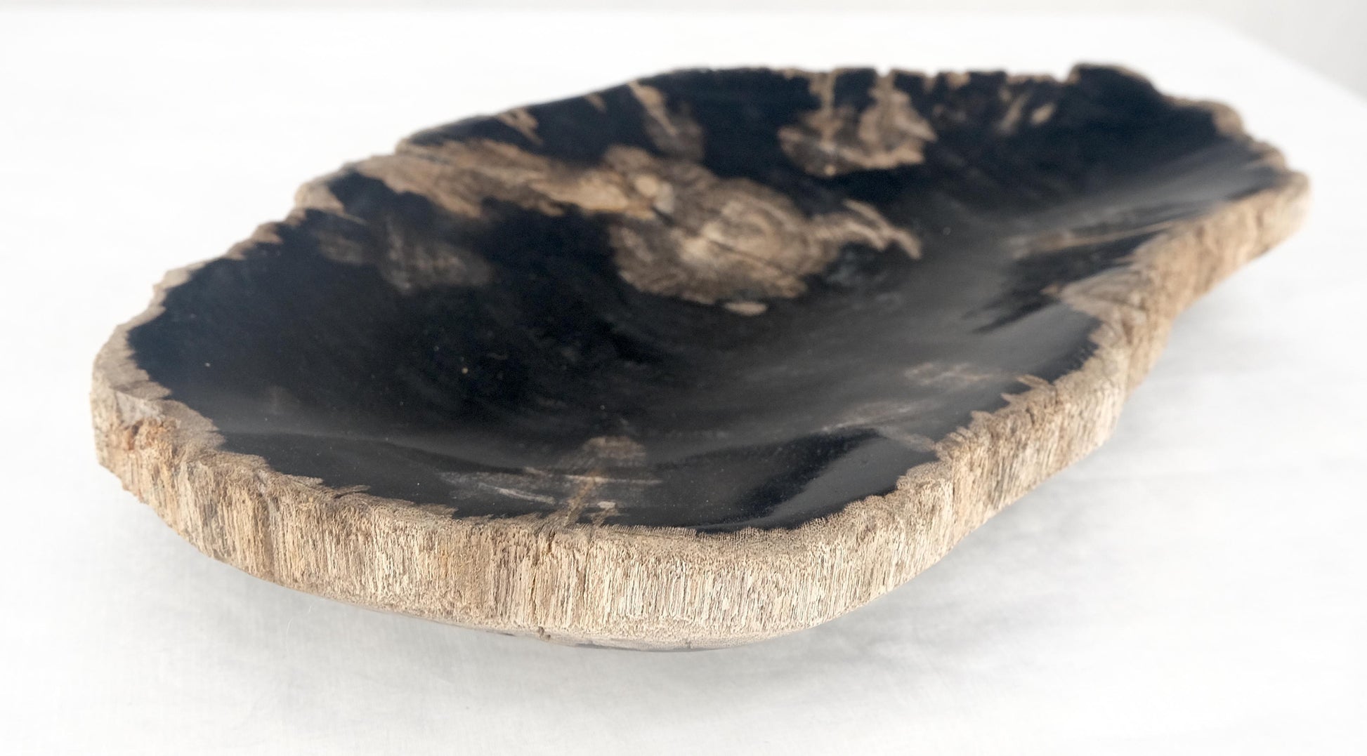 EstablishedLines Organic Brain Shape Black & Tan Petrified Wood Tray Bowl Dish Plate Ashtray