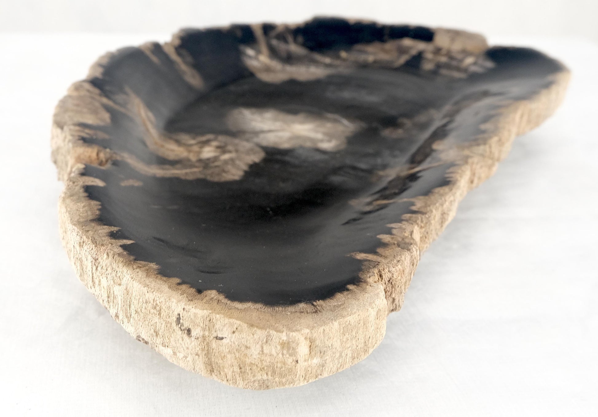 EstablishedLines Organic Demilune Shape Black & Tan Petrified Wood Tray Bawl Dish Plate Ashtray