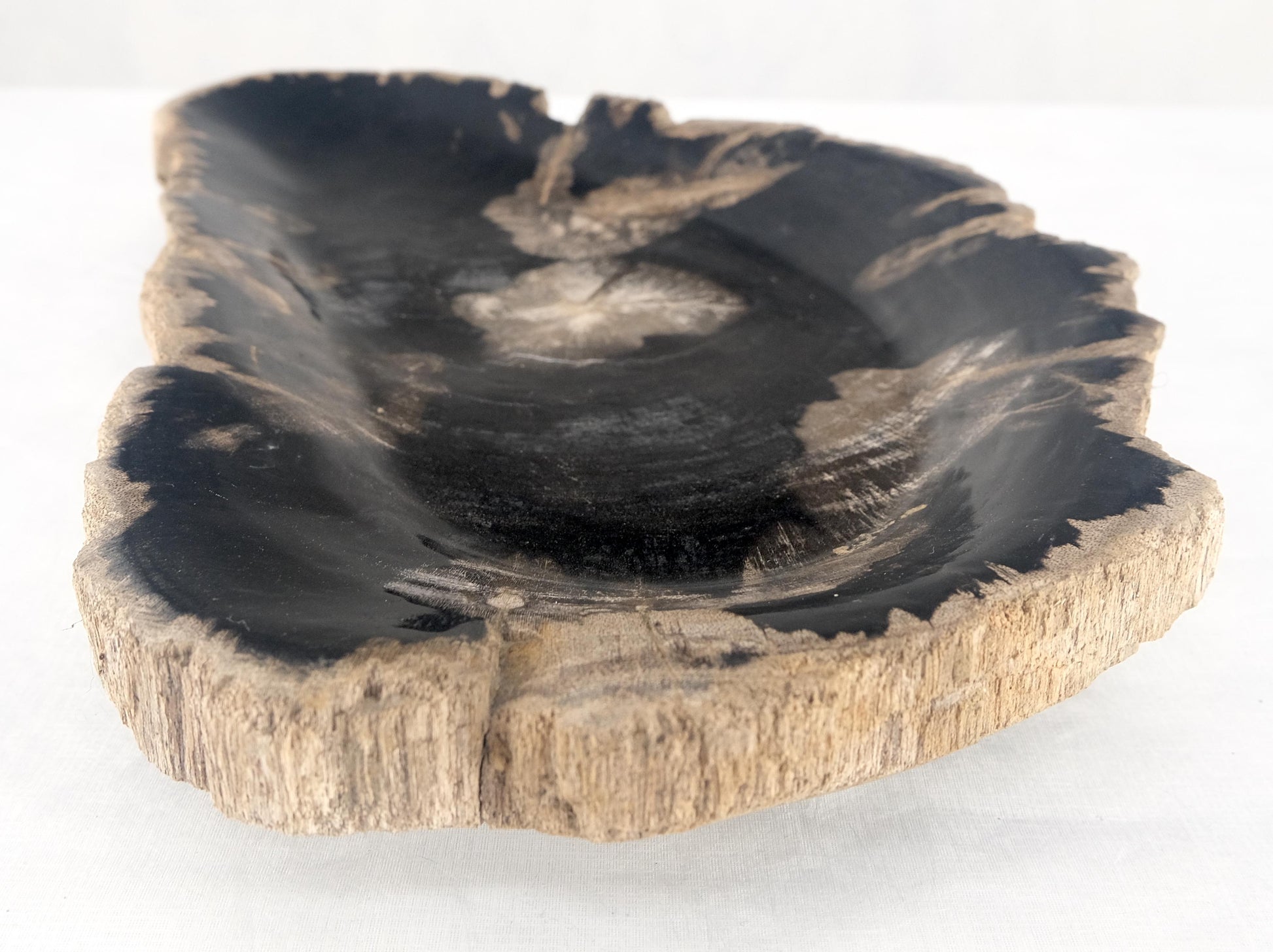 EstablishedLines Organic Demilune Shape Black & Tan Petrified Wood Tray Bawl Dish Plate Ashtray