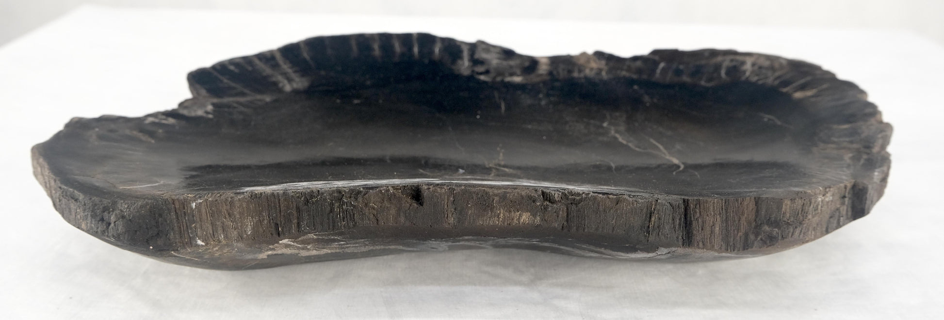 EstablishedLines Organic Kidney Shape Black & Tan Petrified Wood Tray Bawl Dish Plate Ashtray