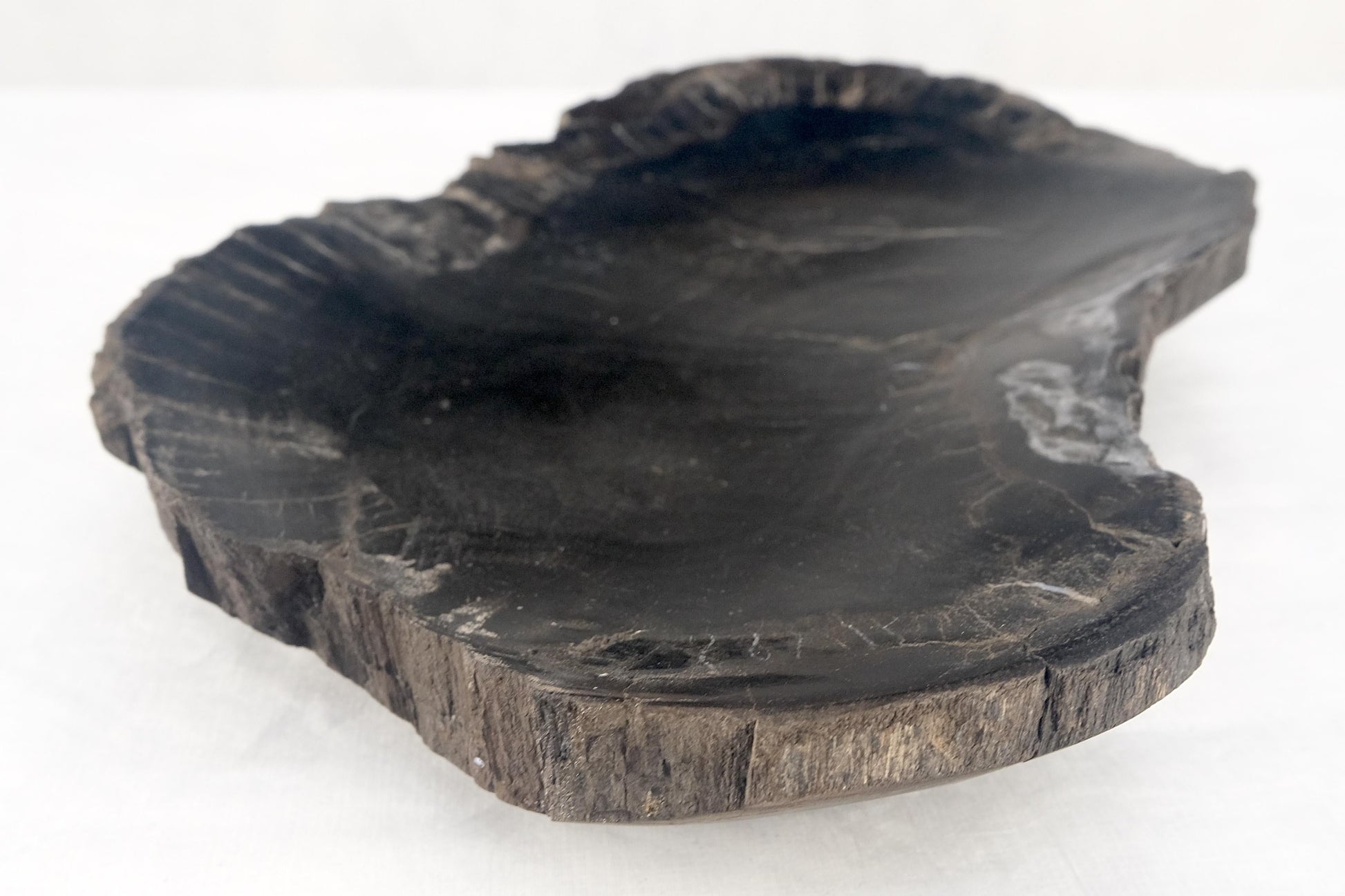 EstablishedLines Organic Kidney Shape Black & Tan Petrified Wood Tray Bawl Dish Plate Ashtray