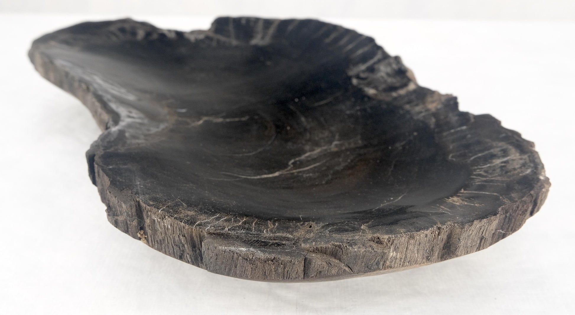 EstablishedLines Organic Kidney Shape Black & Tan Petrified Wood Tray Bawl Dish Plate Ashtray