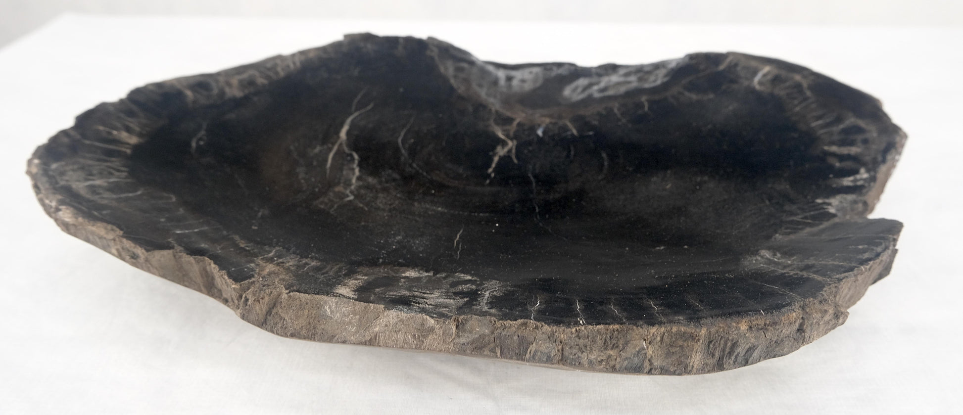 EstablishedLines Organic Kidney Shape Black & Tan Petrified Wood Tray Bawl Dish Plate Ashtray