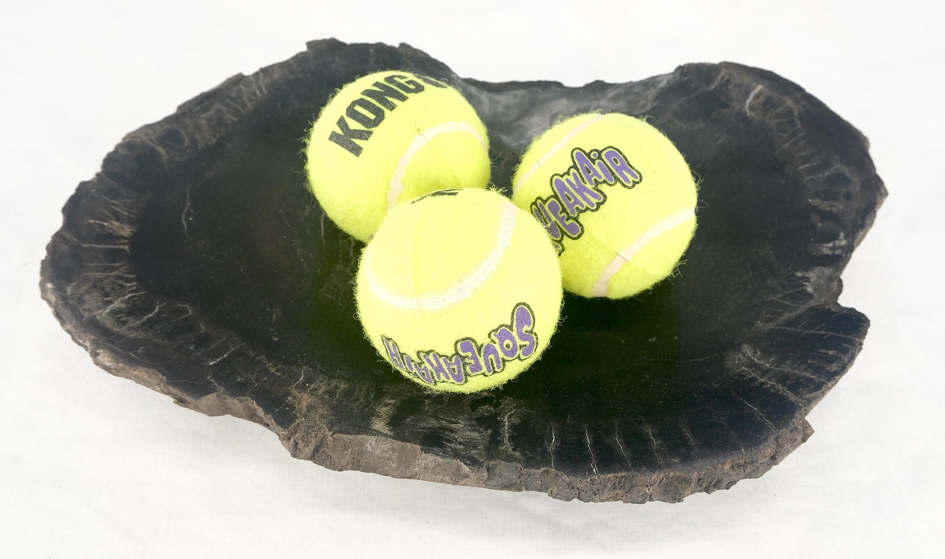 EstablishedLines Organic Kidney Shape Black & Tan Petrified Wood Tray Bawl Dish Plate Ashtray