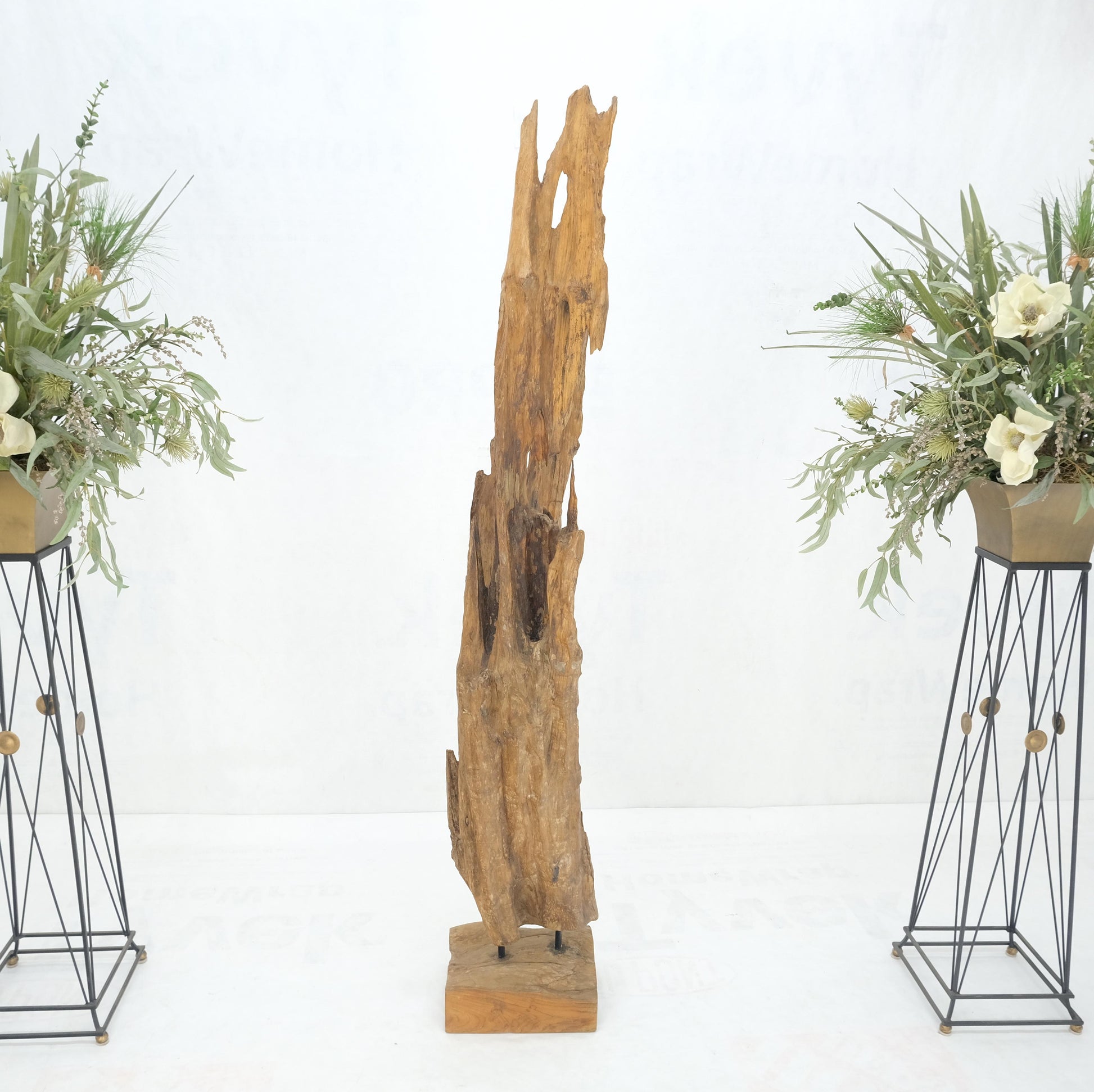 EstablishedLines Large Standing 6.5' Tall Abstract Driftwood Sculpture on Wooden Block Base MINT!