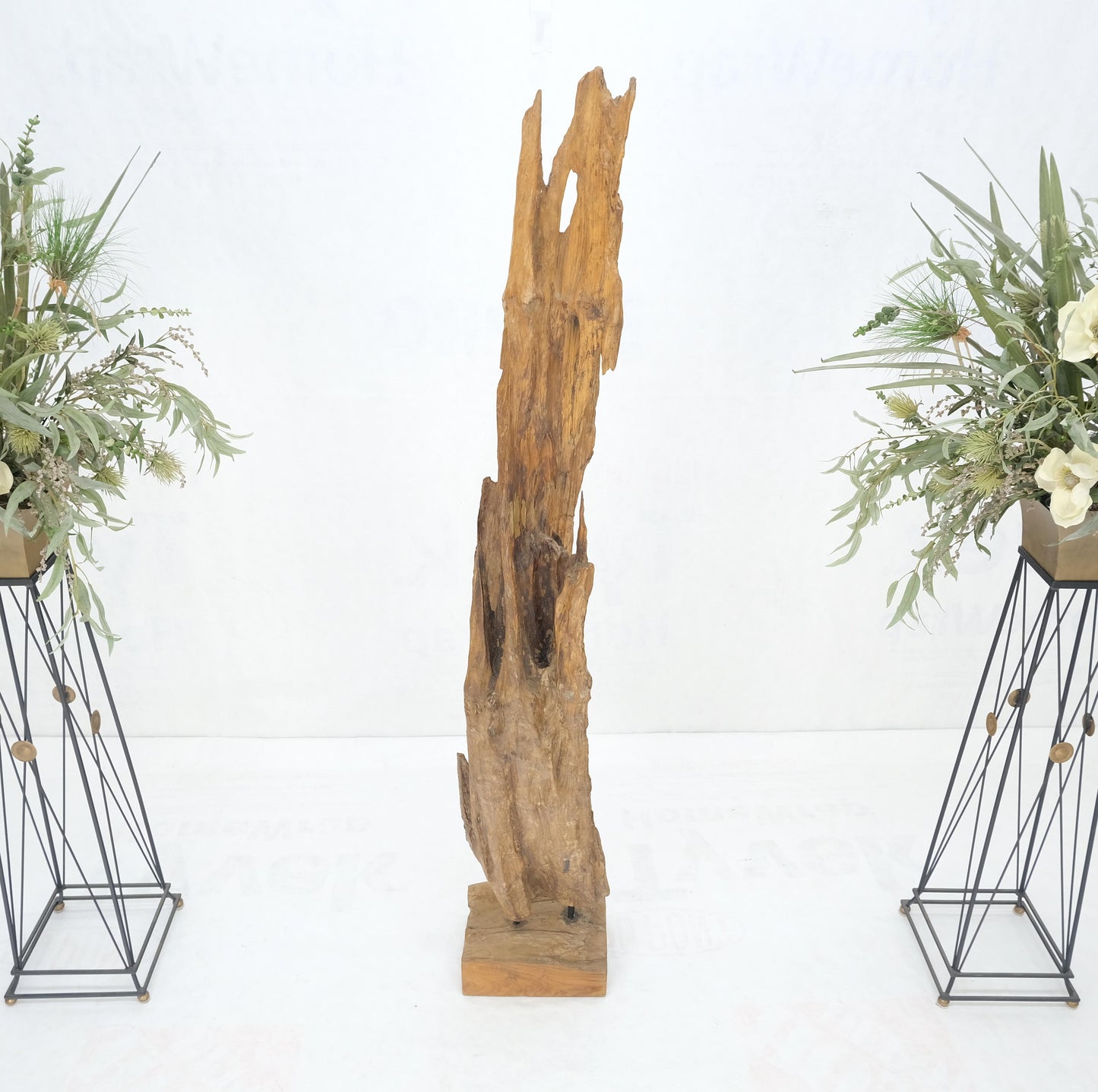 EstablishedLines Large Standing 6.5' Tall Abstract Driftwood Sculpture on Wooden Block Base MINT!