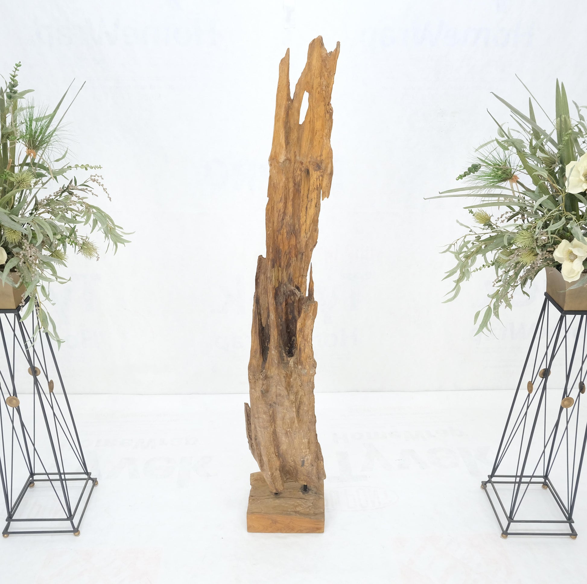 EstablishedLines Large Standing 6.5' Tall Abstract Driftwood Sculpture on Wooden Block Base MINT!