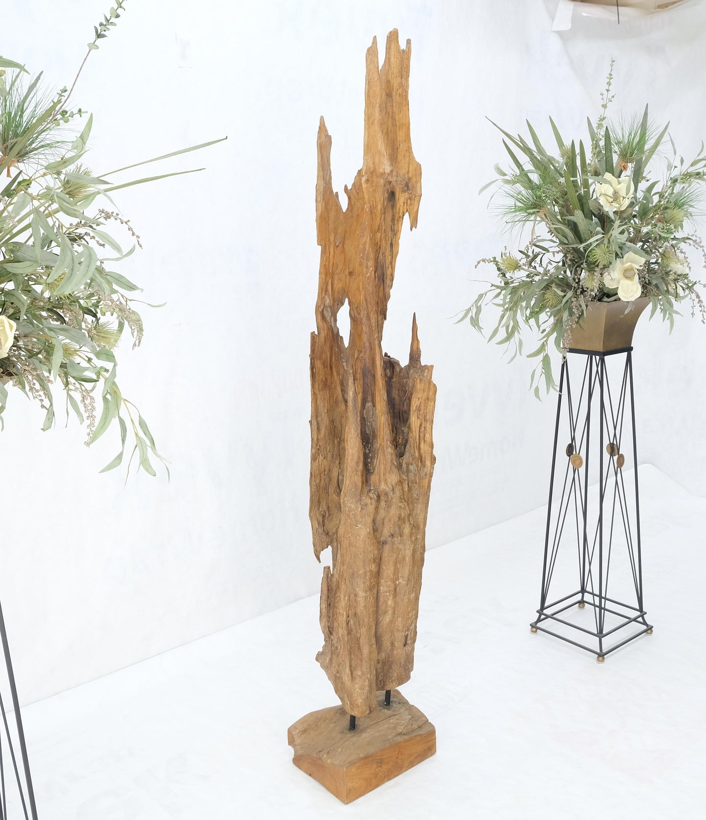 EstablishedLines Large Standing 6.5' Tall Abstract Driftwood Sculpture on Wooden Block Base MINT!