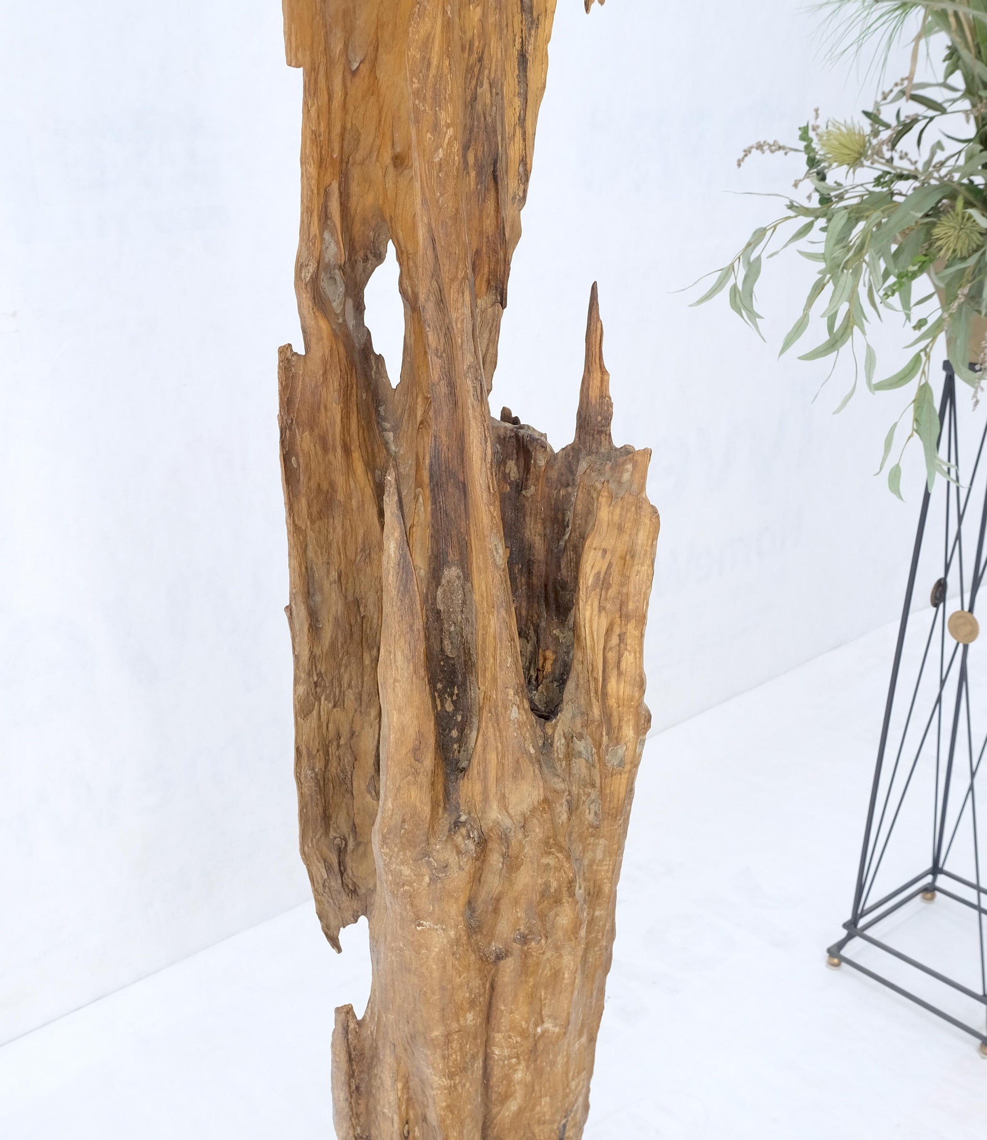 EstablishedLines Large Standing 6.5' Tall Abstract Driftwood Sculpture on Wooden Block Base MINT!