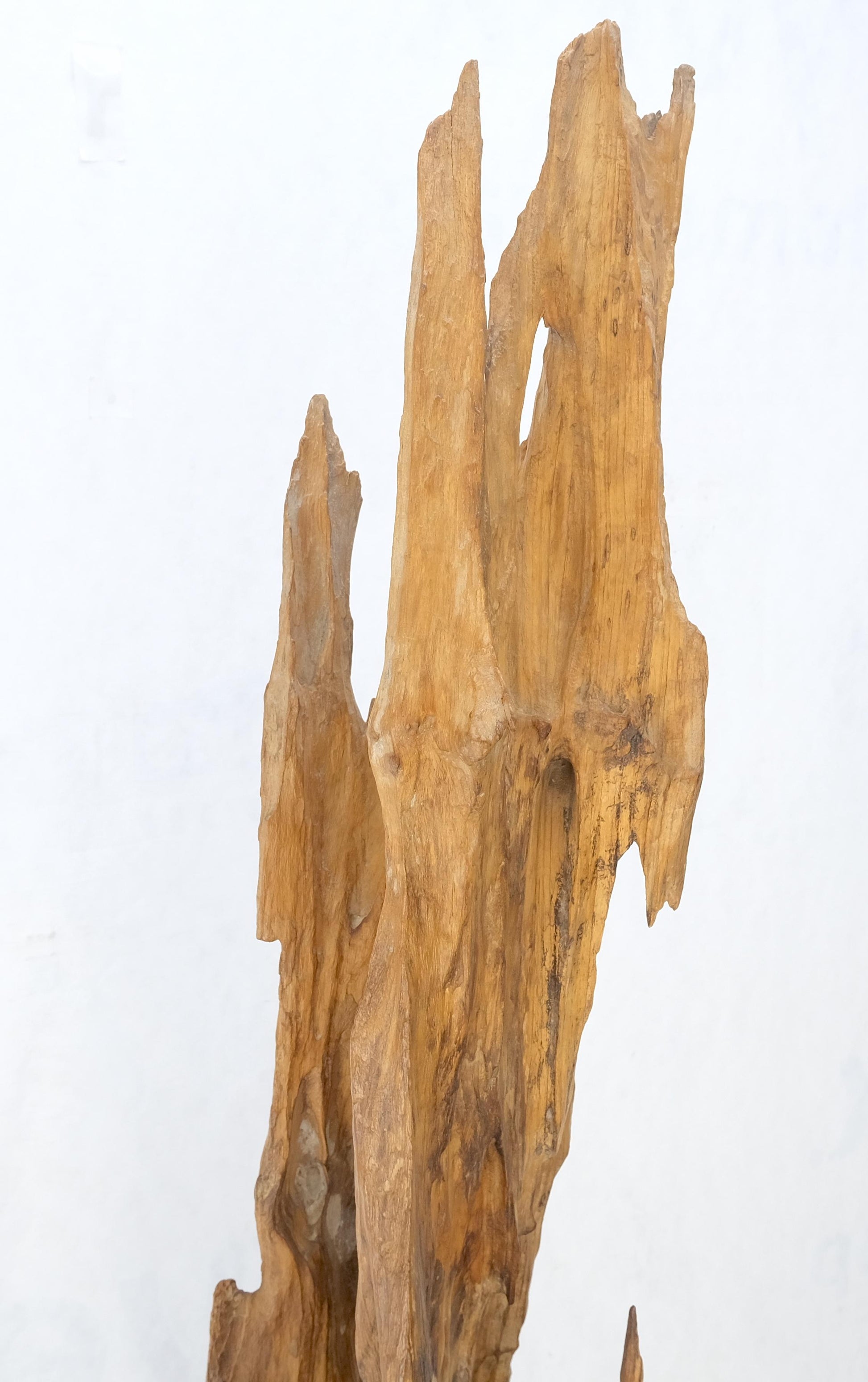 EstablishedLines Large Standing 6.5' Tall Abstract Driftwood Sculpture on Wooden Block Base MINT!
