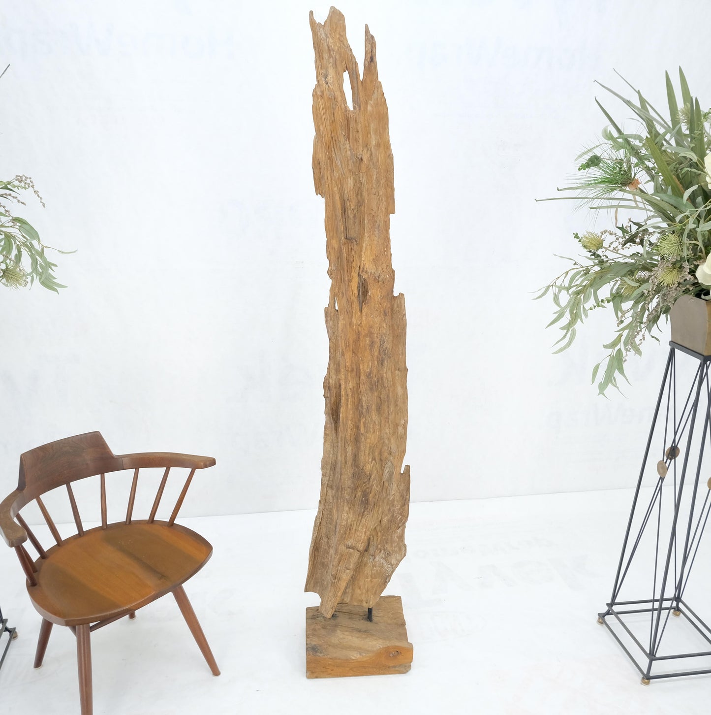 EstablishedLines Large Standing 6.5' Tall Abstract Driftwood Sculpture on Wooden Block Base MINT!
