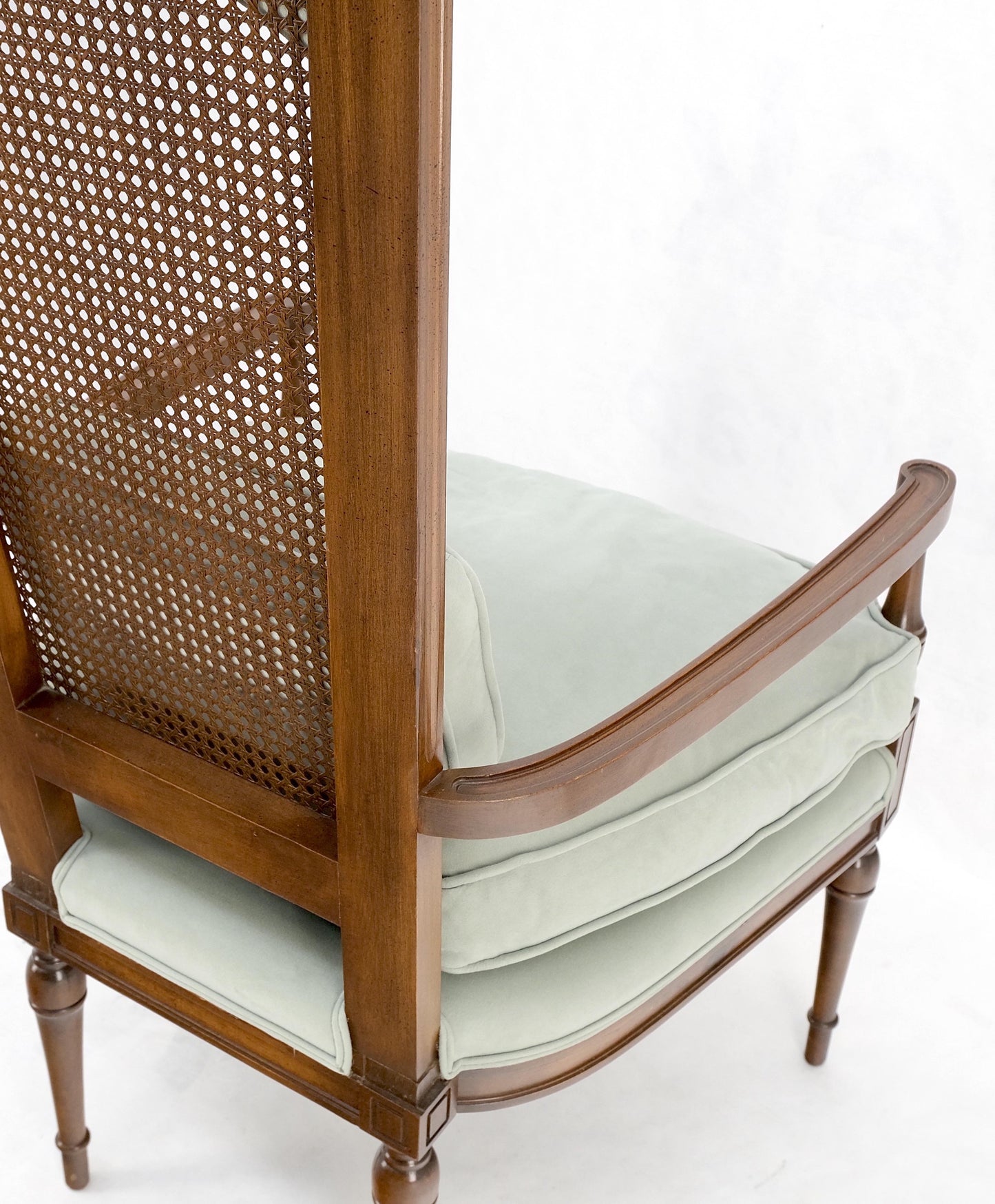 EstablishedLines Tall Cane Back Down Filled Upholstery Seat Cushion Arm Chair Mint!