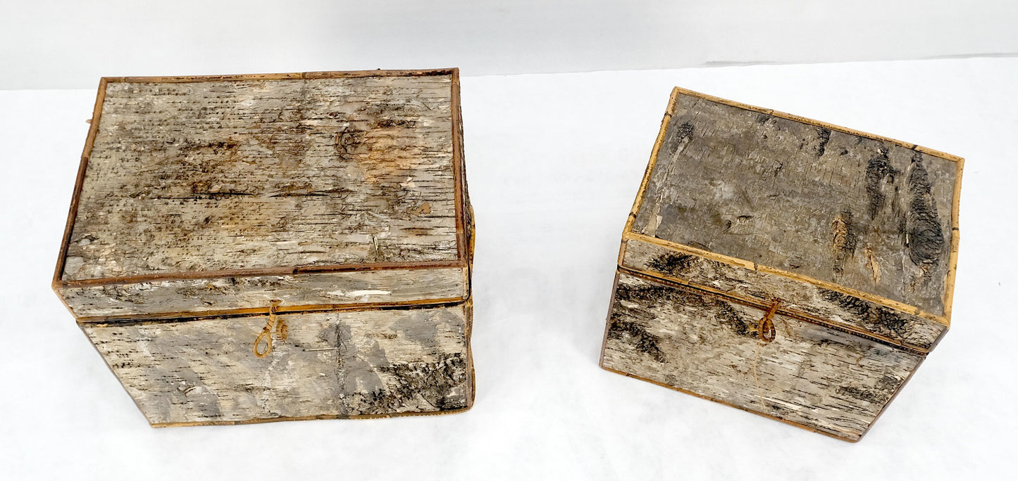 EstablishedLines Unusual Birch Tree Bark Nesting Decorative Trunk Shape Boxes