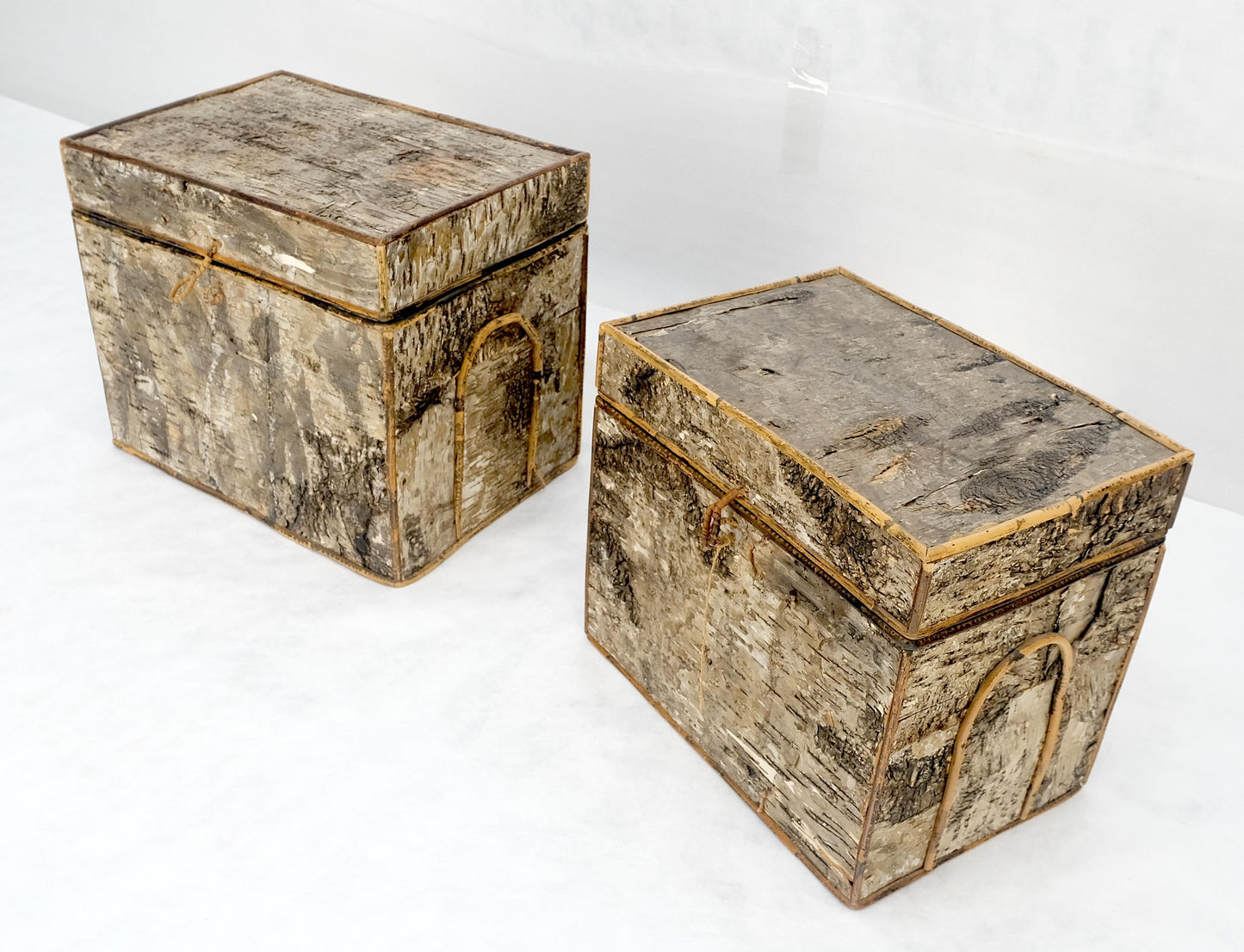 EstablishedLines Unusual Birch Tree Bark Nesting Decorative Trunk Shape Boxes