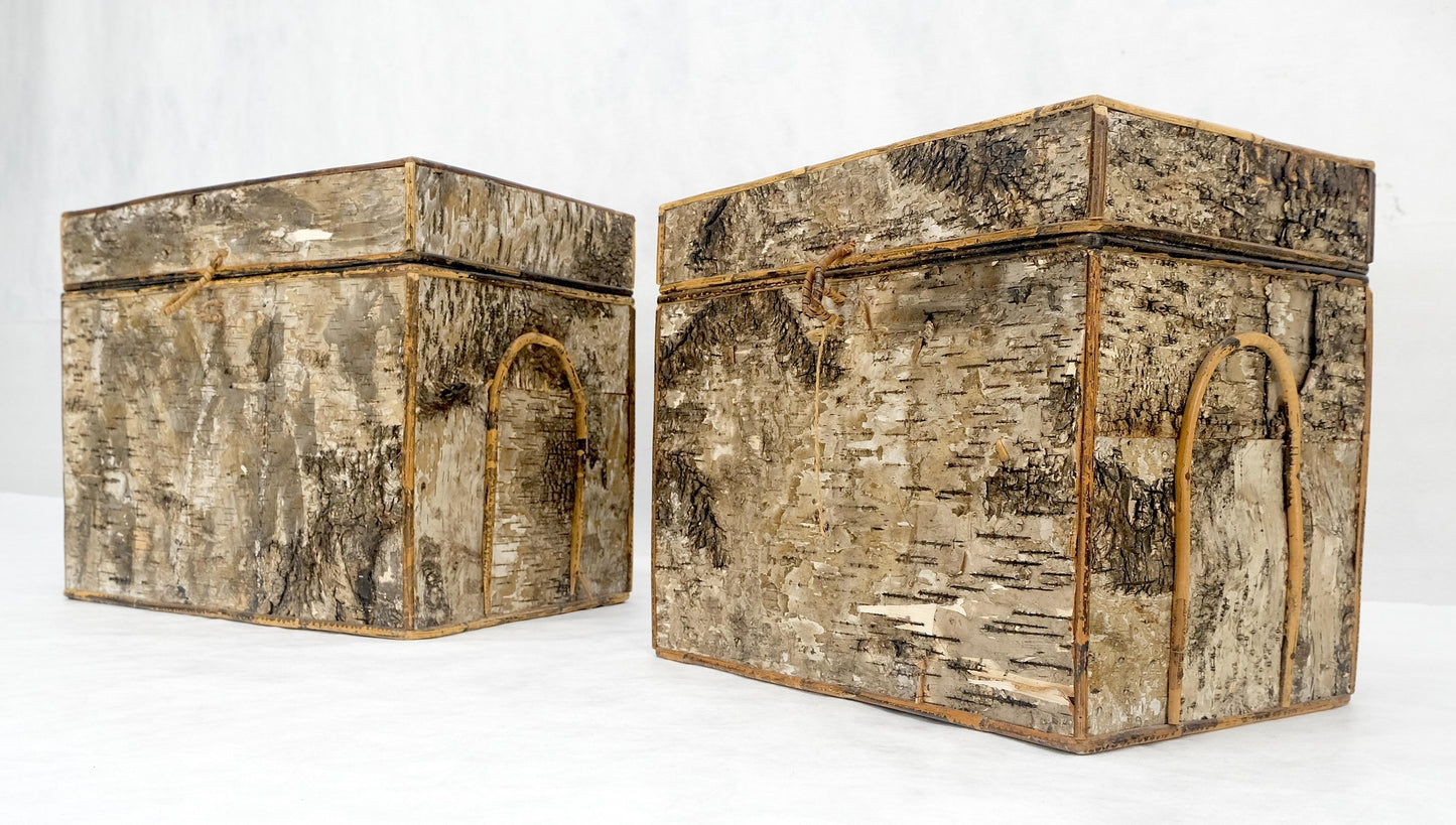 EstablishedLines Unusual Birch Tree Bark Nesting Decorative Trunk Shape Boxes
