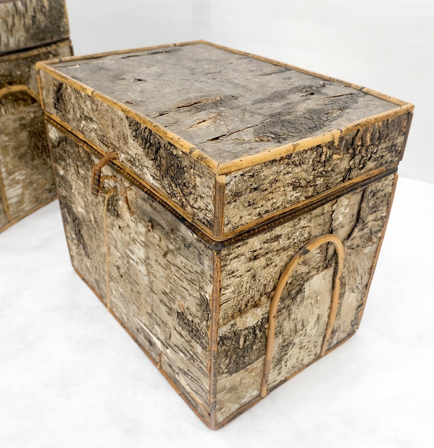 EstablishedLines Unusual Birch Tree Bark Nesting Decorative Trunk Shape Boxes