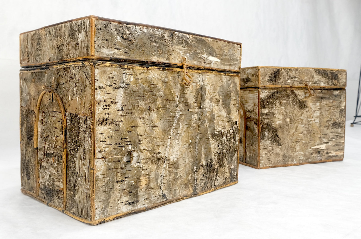 EstablishedLines Unusual Birch Tree Bark Nesting Decorative Trunk Shape Boxes