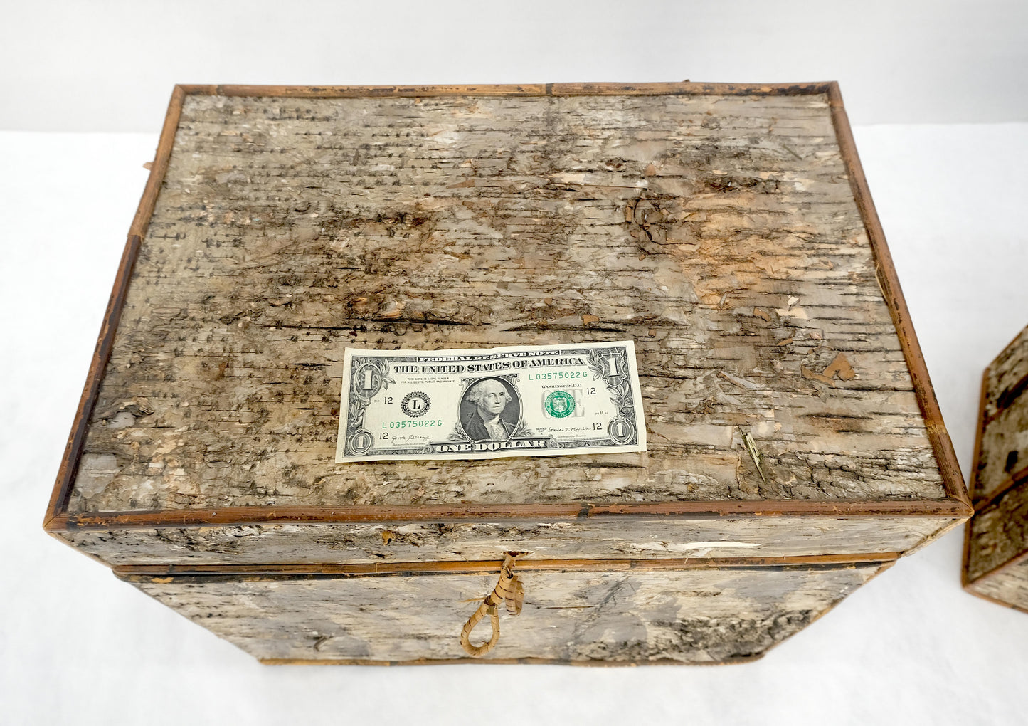 EstablishedLines Unusual Birch Tree Bark Nesting Decorative Trunk Shape Boxes