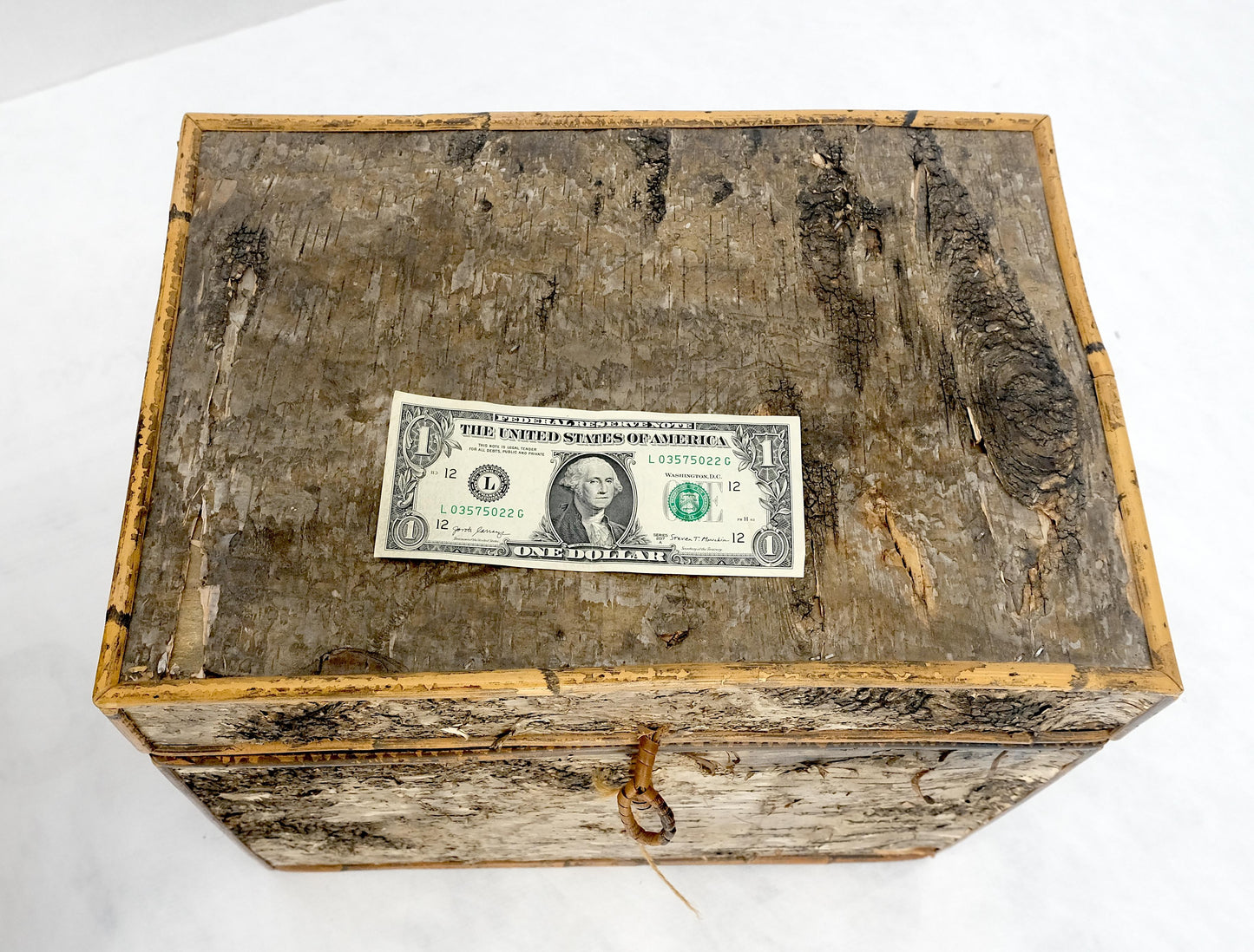 EstablishedLines Unusual Birch Tree Bark Nesting Decorative Trunk Shape Boxes