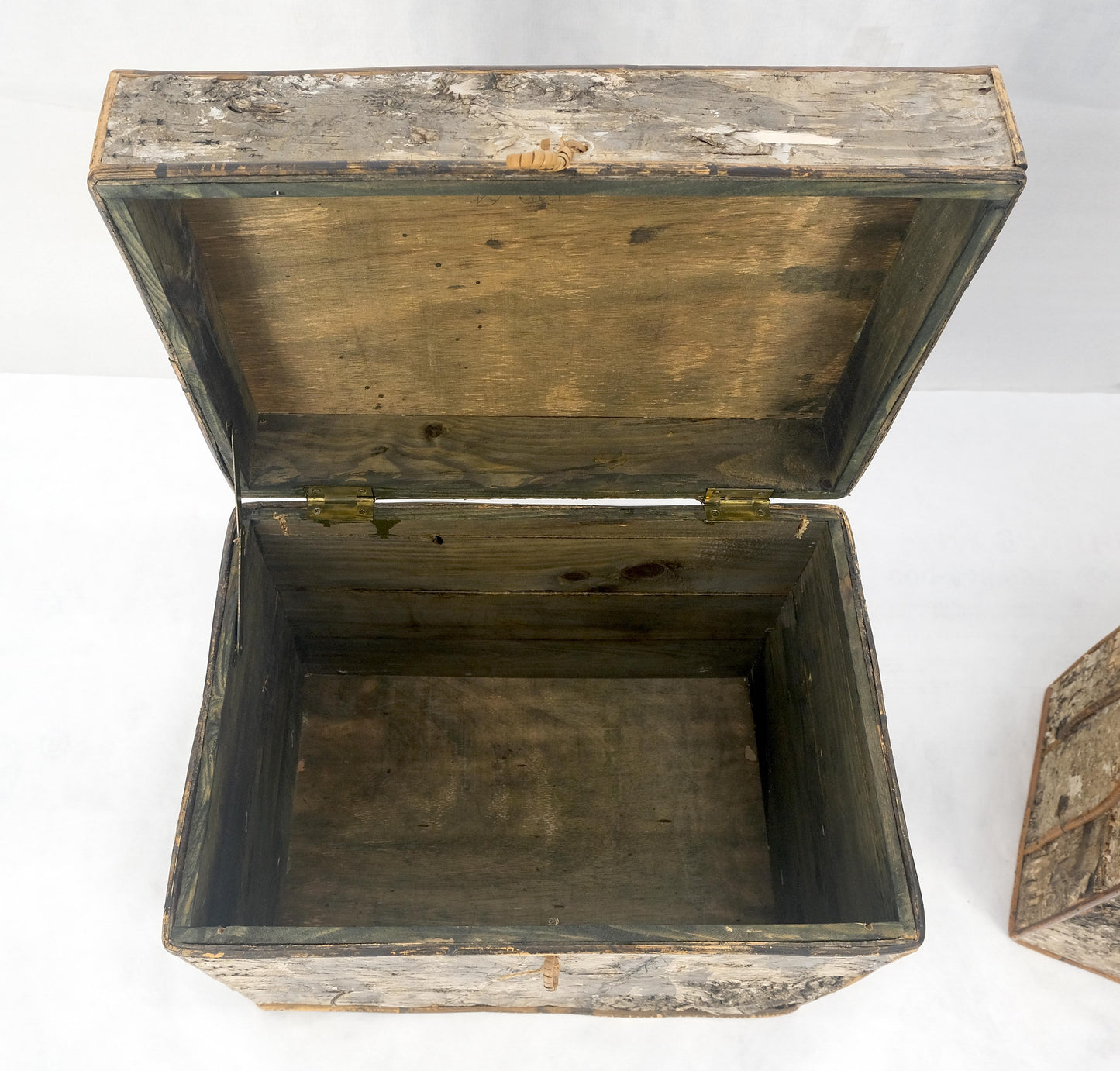 EstablishedLines Unusual Birch Tree Bark Nesting Decorative Trunk Shape Boxes