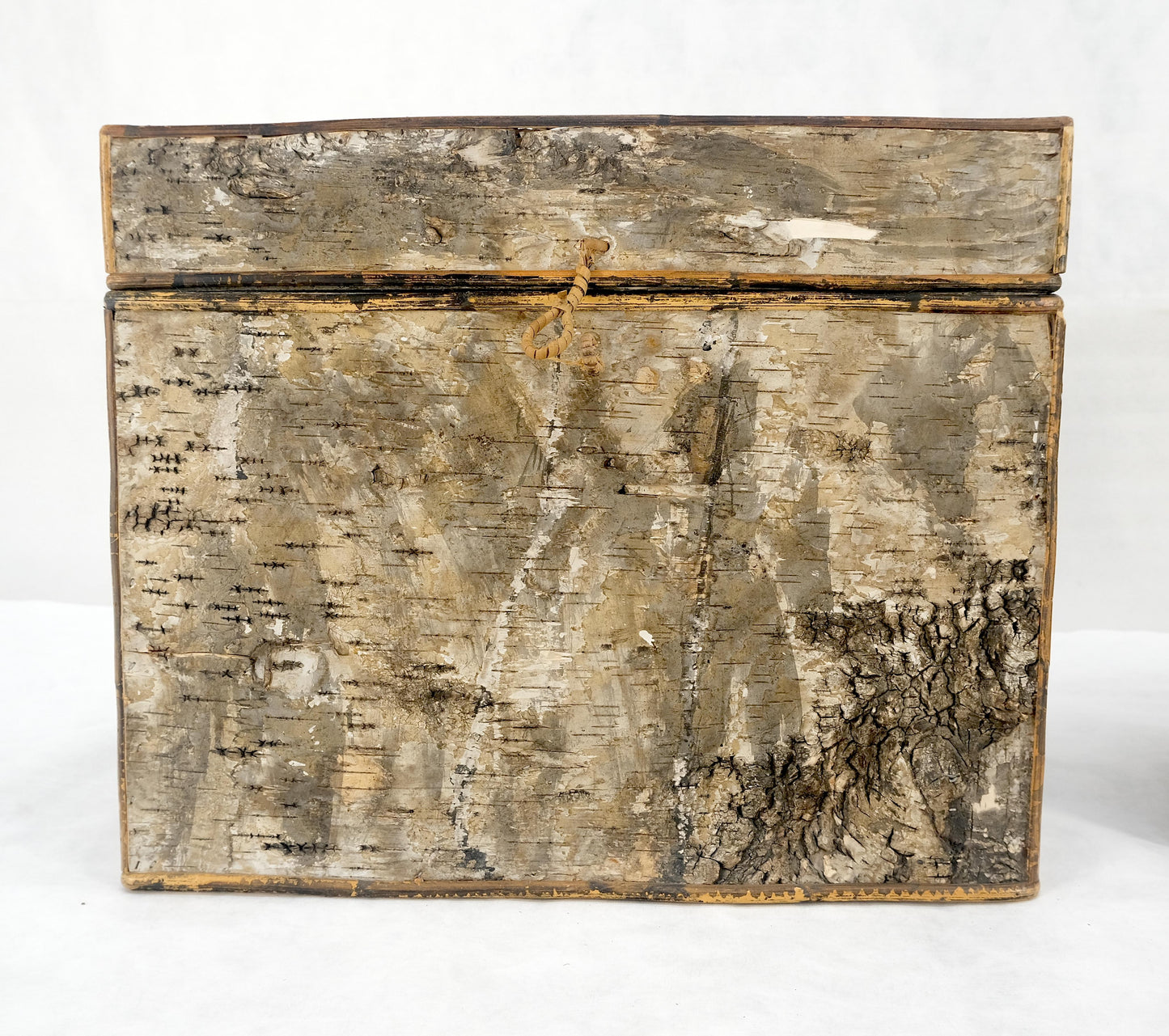 EstablishedLines Unusual Birch Tree Bark Nesting Decorative Trunk Shape Boxes