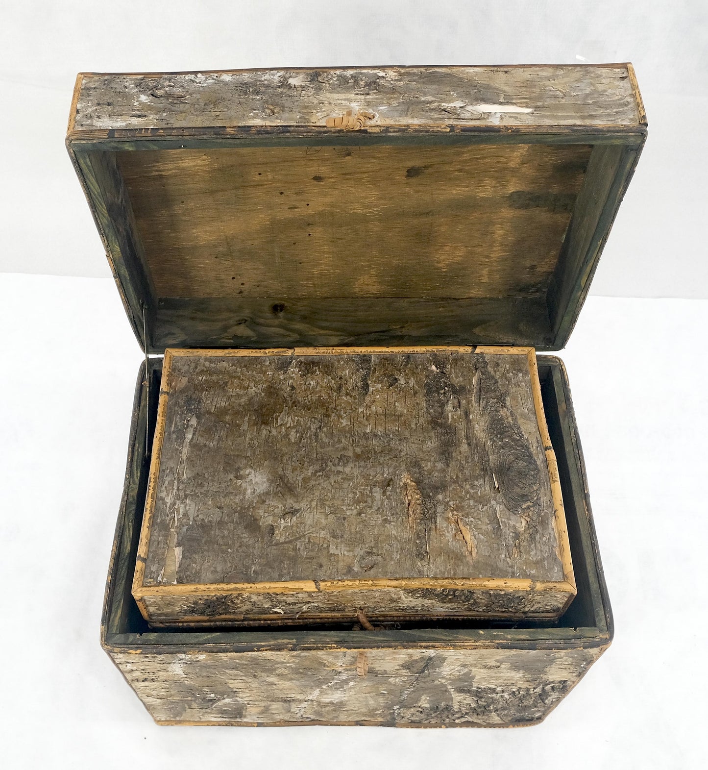 EstablishedLines Unusual Birch Tree Bark Nesting Decorative Trunk Shape Boxes
