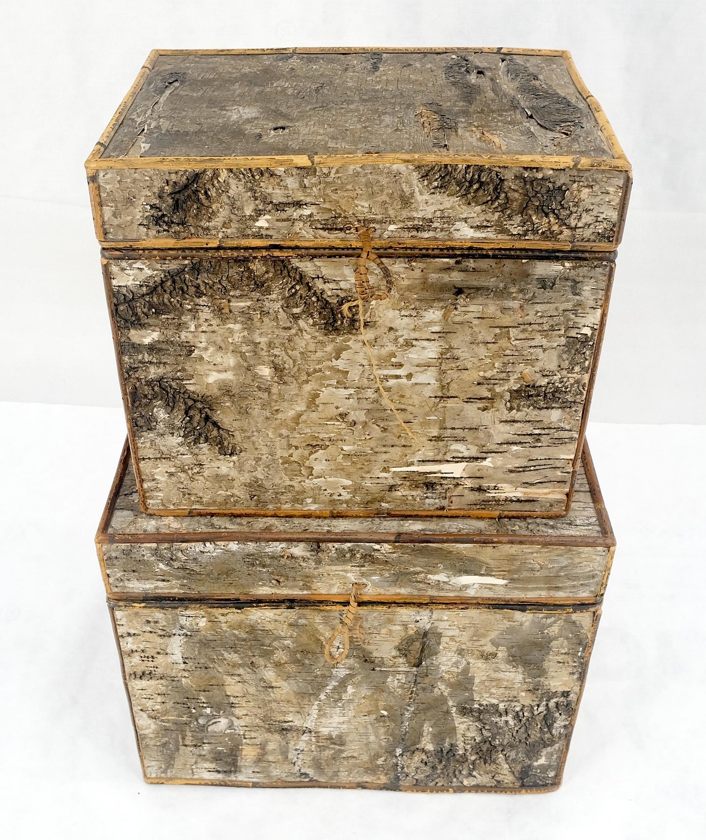 EstablishedLines Unusual Birch Tree Bark Nesting Decorative Trunk Shape Boxes