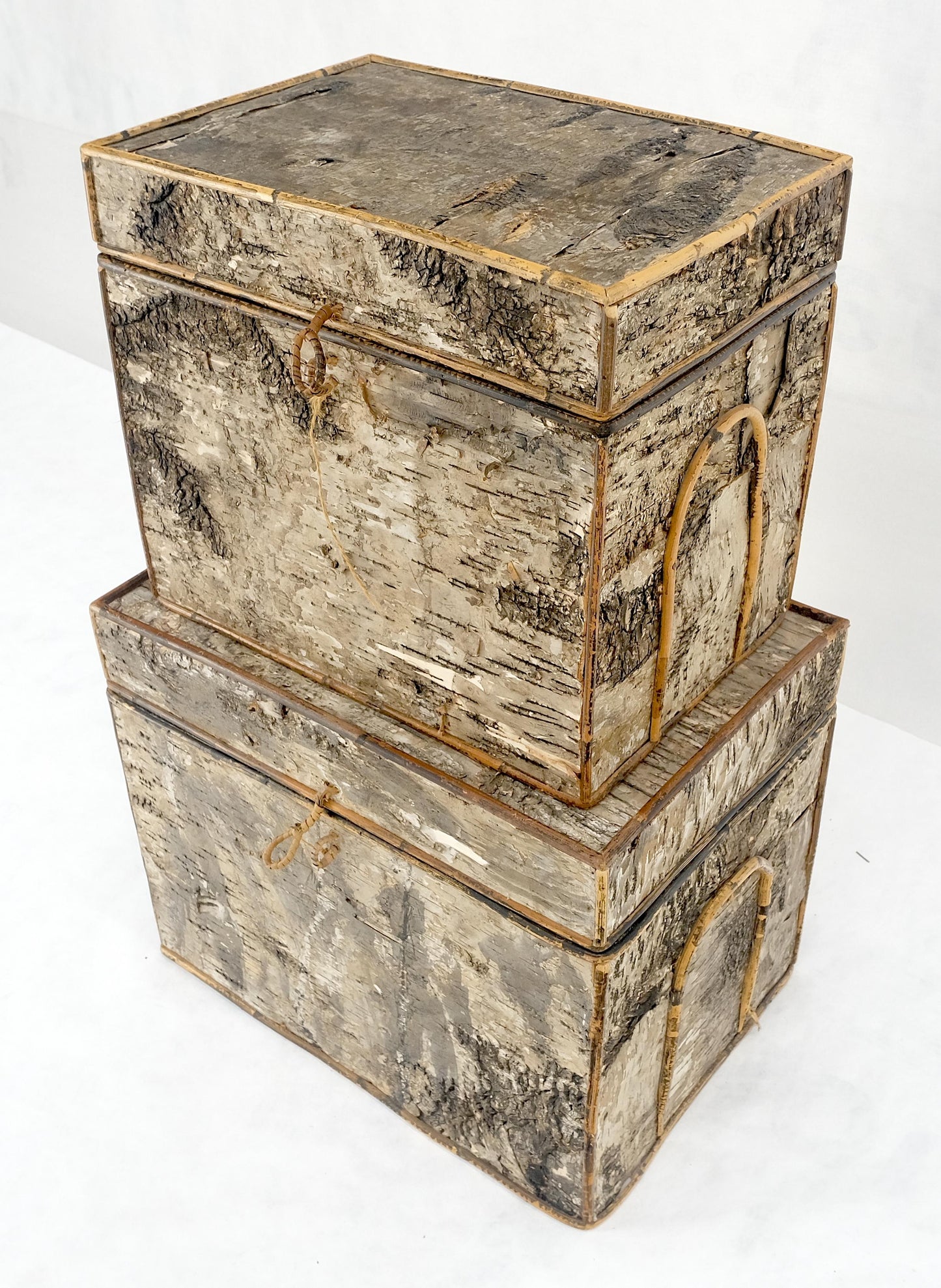 EstablishedLines Unusual Birch Tree Bark Nesting Decorative Trunk Shape Boxes