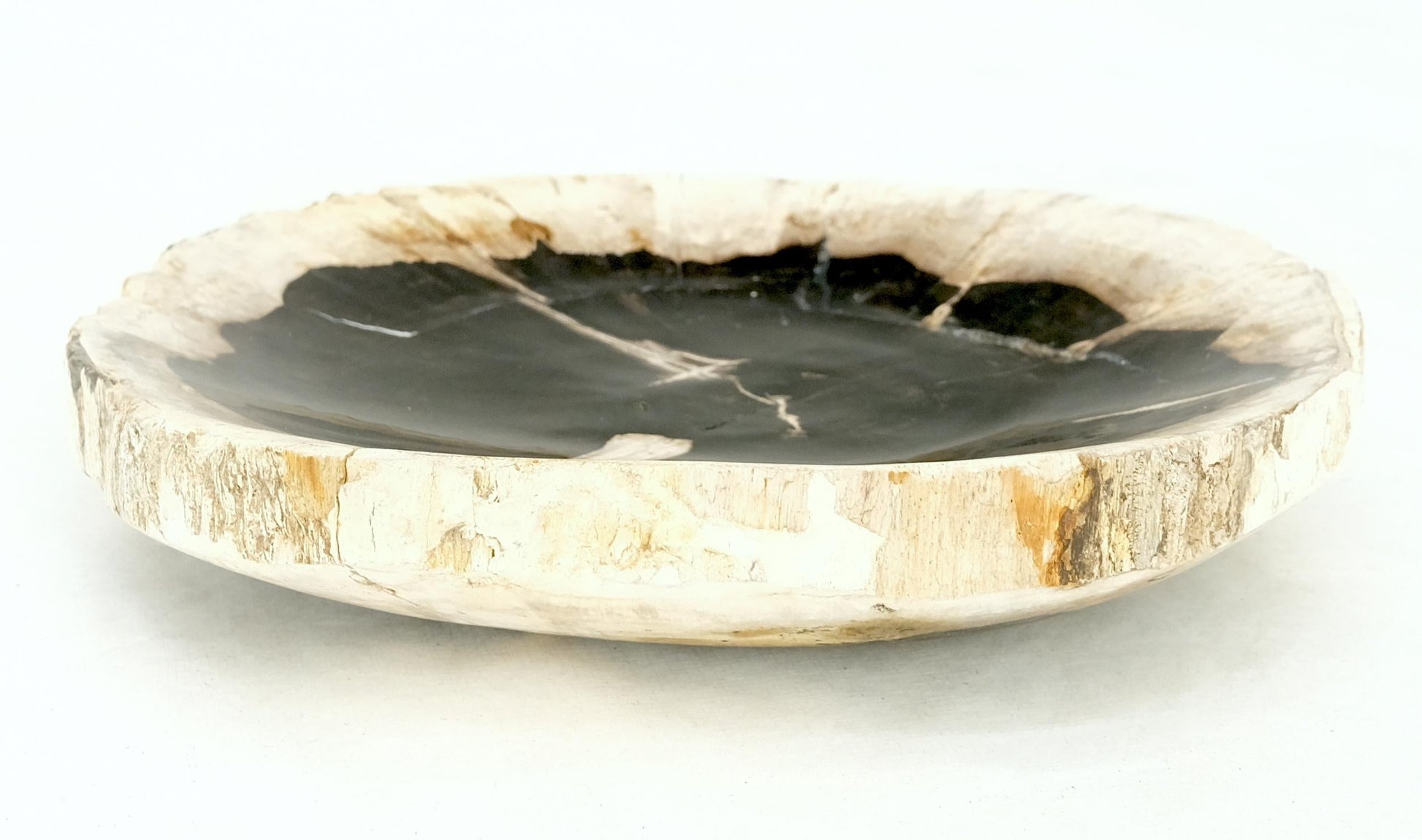EstablishedLines Petrified Wood Round Black & Beige Bowl Dish Large Plate