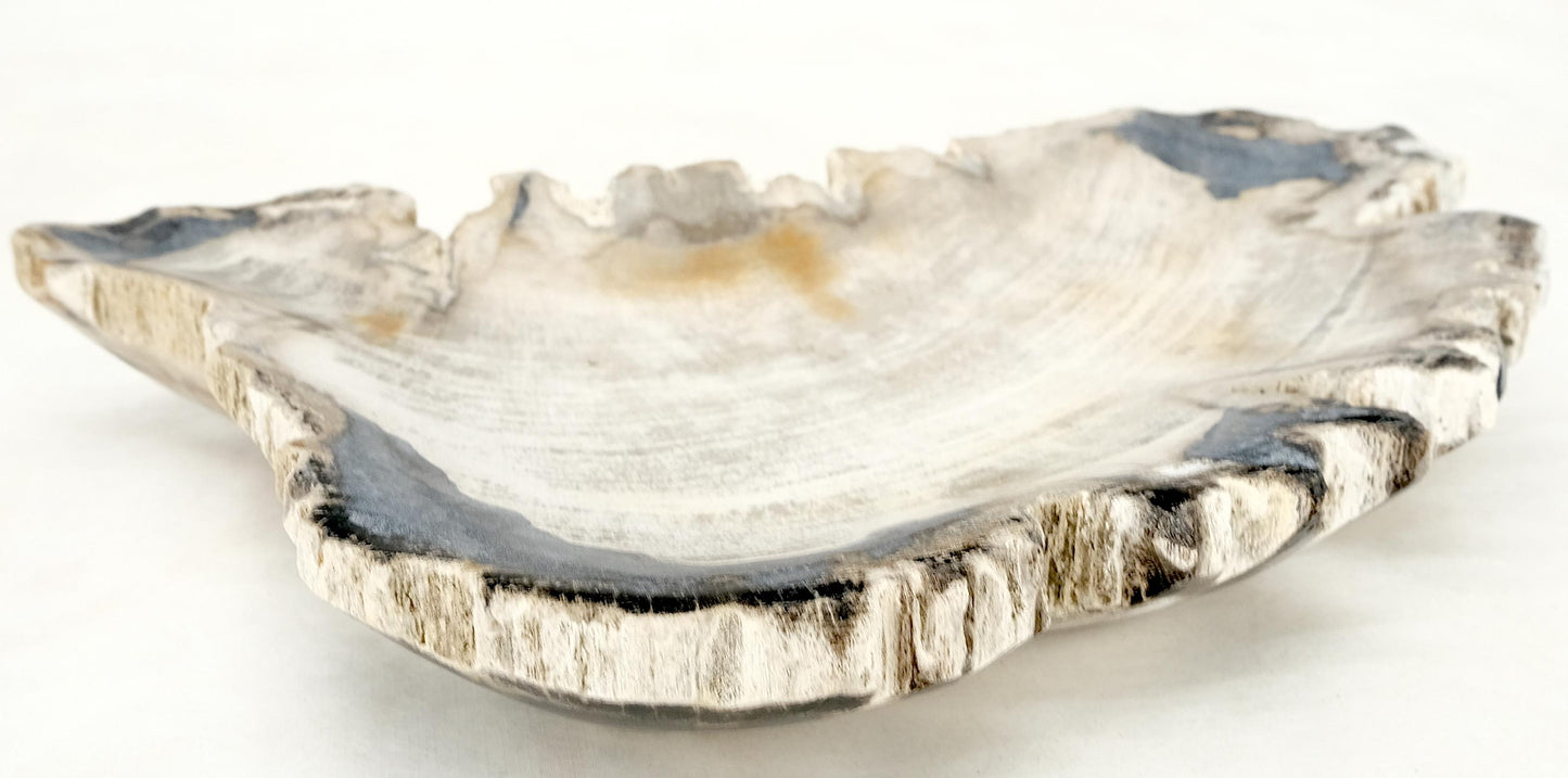 EstablishedLines Petrified Wood Antarctica Shape Solid Black & Tanl Bowl Dish Large Plate Ashtray