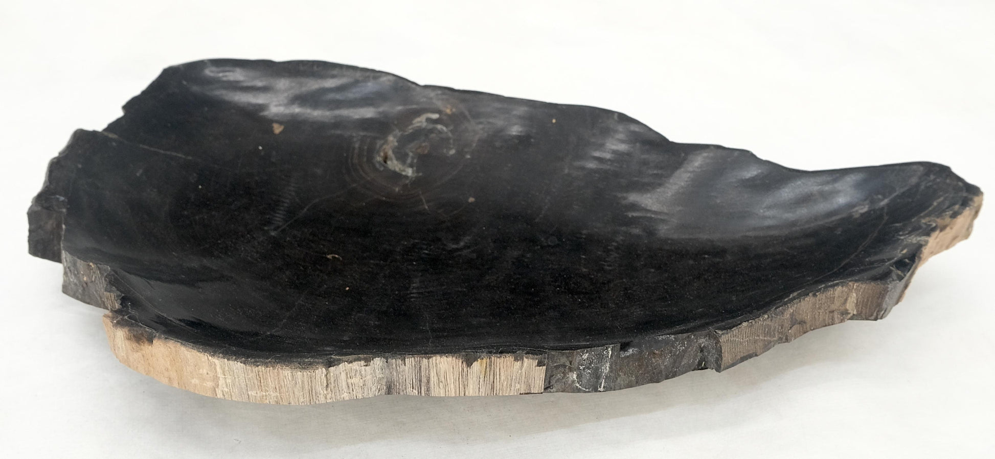 EstablishedLines Petrified Wood Liver Shape Solid Black Elongated Bowl Dish Large Plate Ashtray