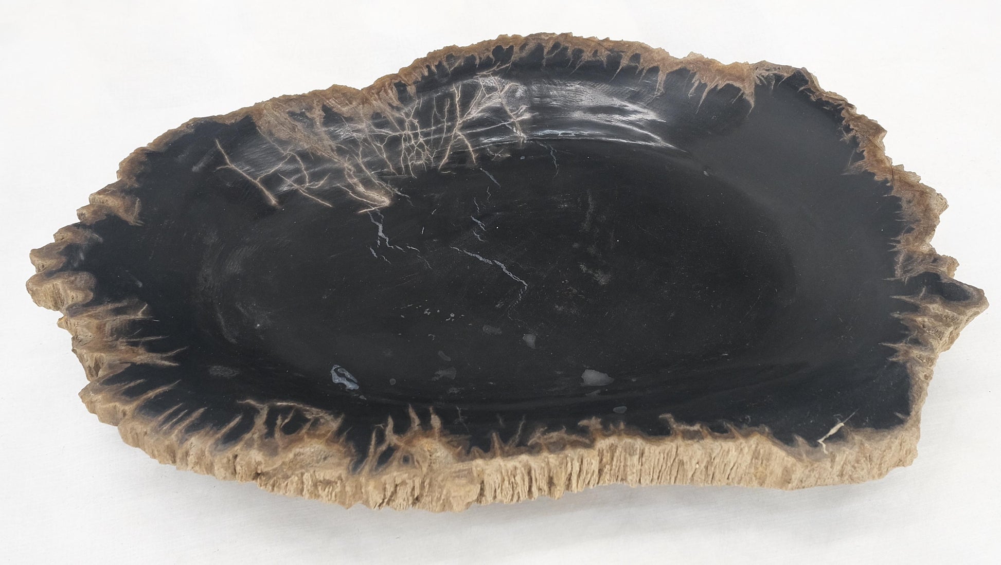 EstablishedLines Petrified Wood Heart Shape Solid Black Elongated Bowl Dish Large Plate Ashtray