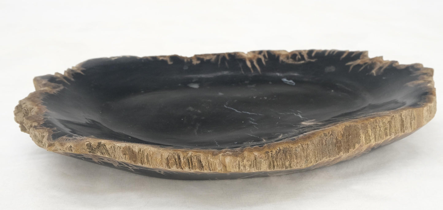 EstablishedLines Petrified Wood Heart Shape Solid Black Elongated Bowl Dish Large Plate Ashtray