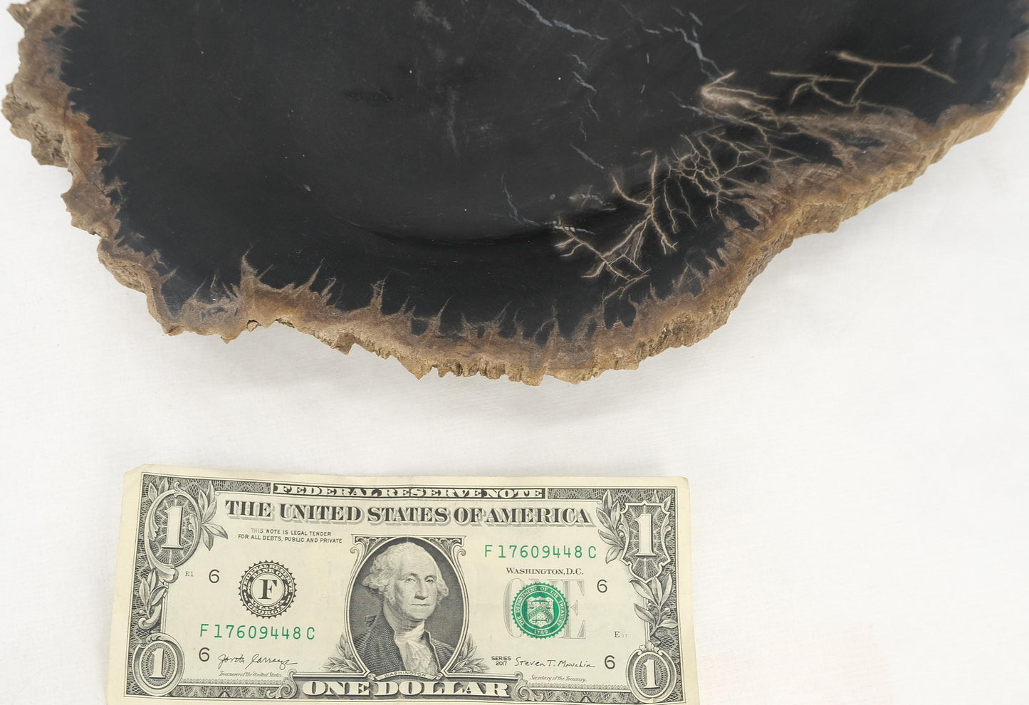 EstablishedLines Petrified Wood Heart Shape Solid Black Elongated Bowl Dish Large Plate Ashtray