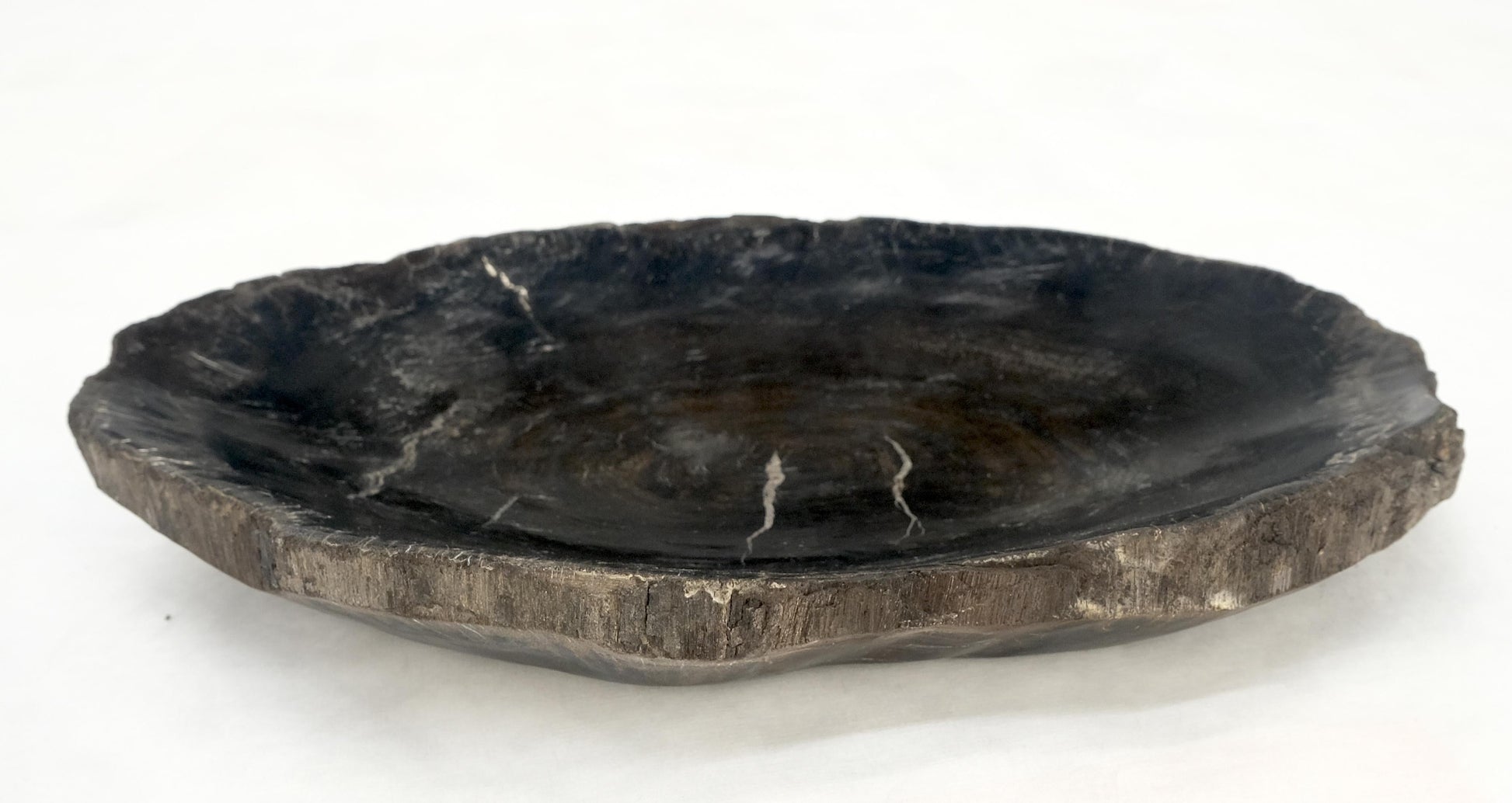 EstablishedLines Petrified Wood Oyster Shape Solid Black Oval Bowl Dish Large Plate Ashtray