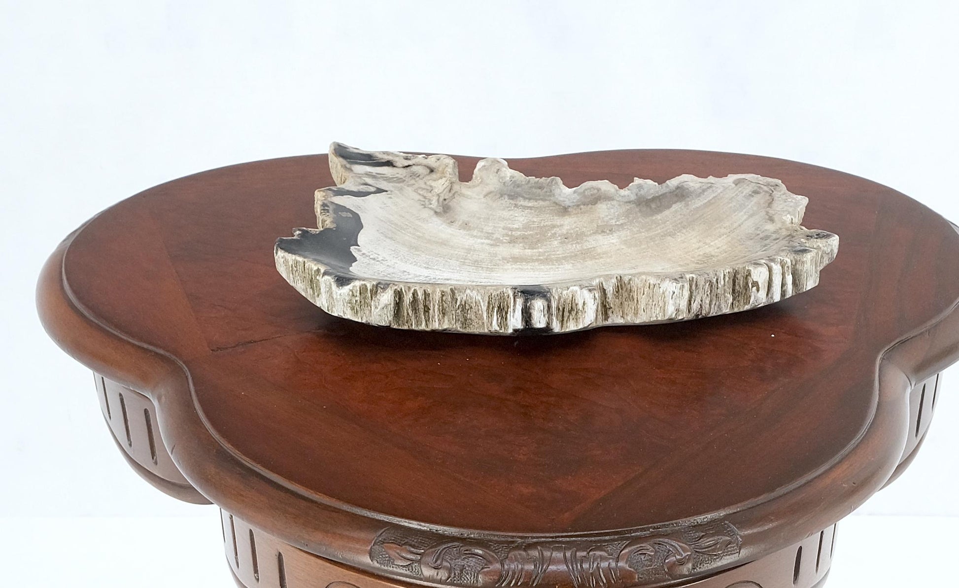 EstablishedLines Petrified Wood Antarctica Shape Solid Black & Tanl Bowl Dish Large Plate Ashtray