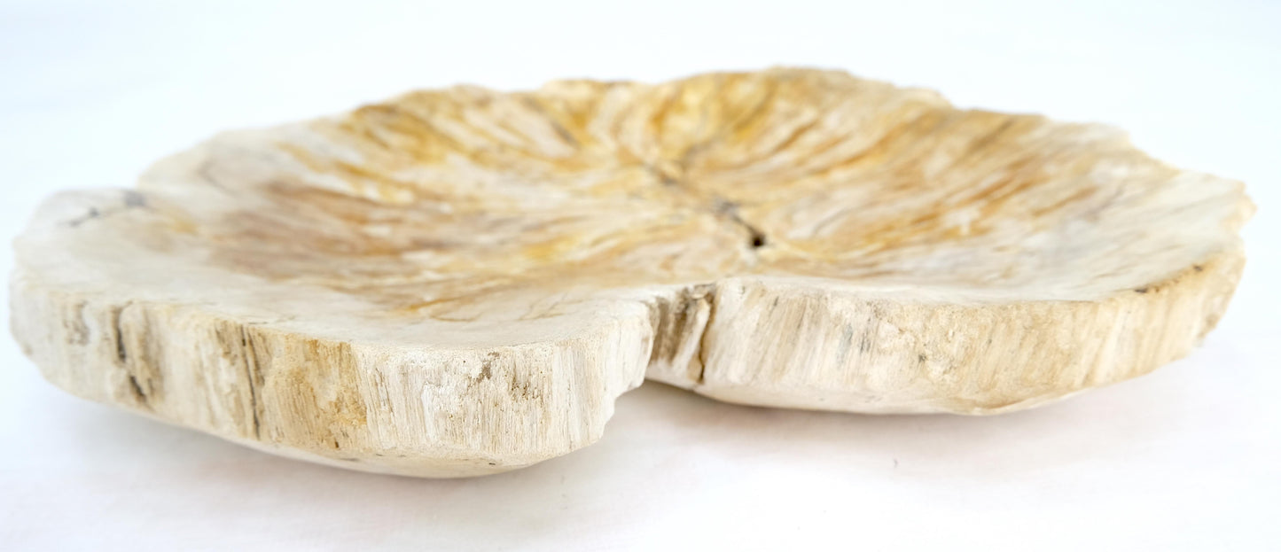 EstablishedLines Petrified Wood Round Shape Tan & Amber Oval Bowl Dish Large Plate Ashtray