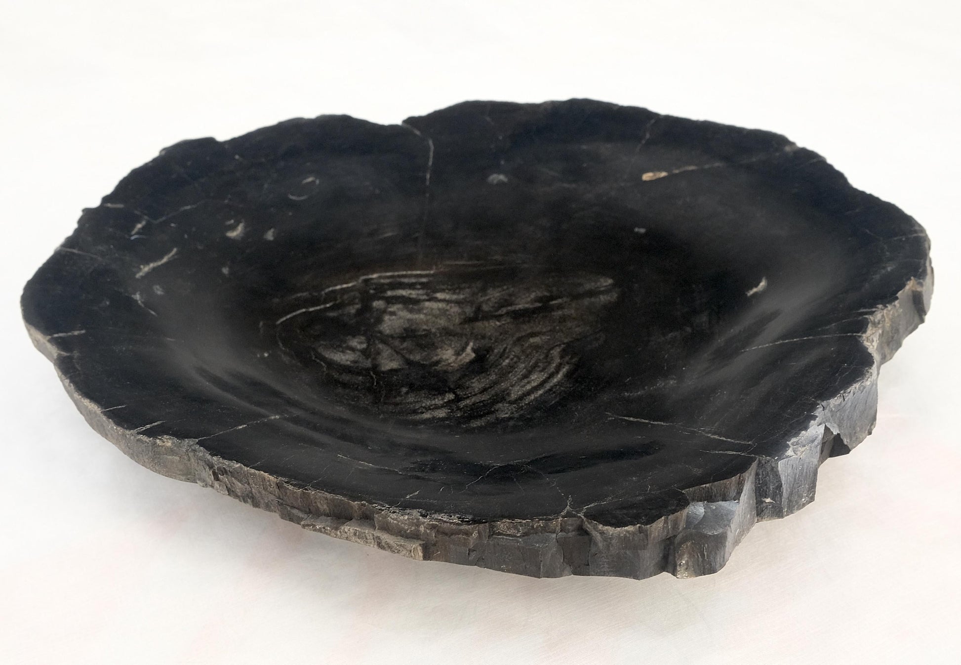 EstablishedLines Petrified Wood Round Shape Solid Black Round Bowl Dish Large Plate Ashtray