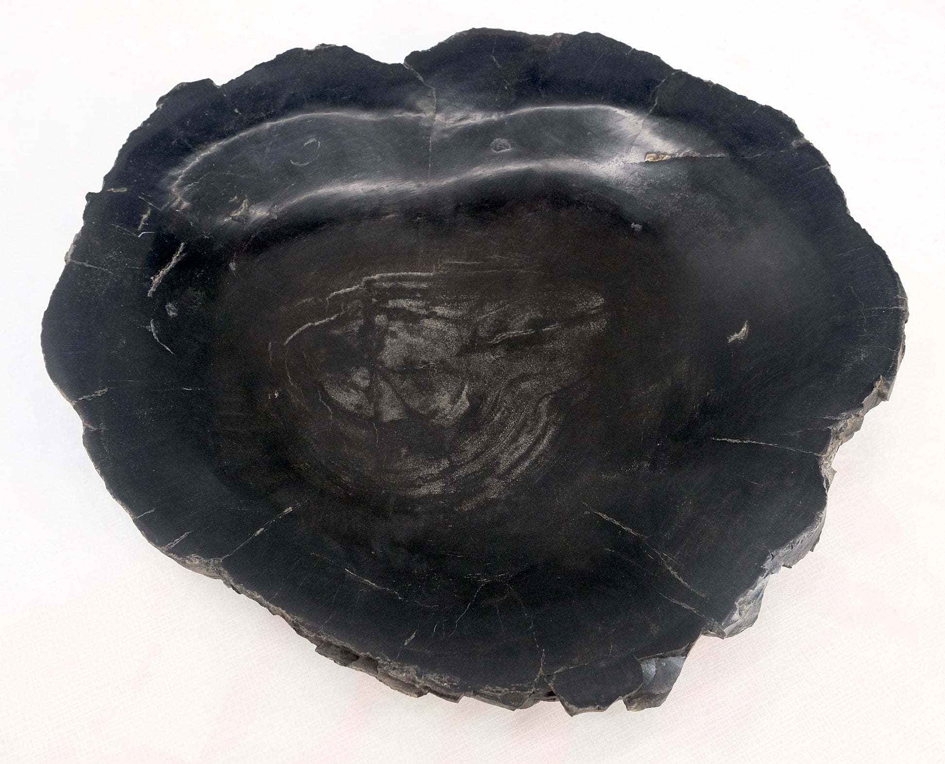 EstablishedLines Petrified Wood Round Shape Solid Black Round Bowl Dish Large Plate Ashtray