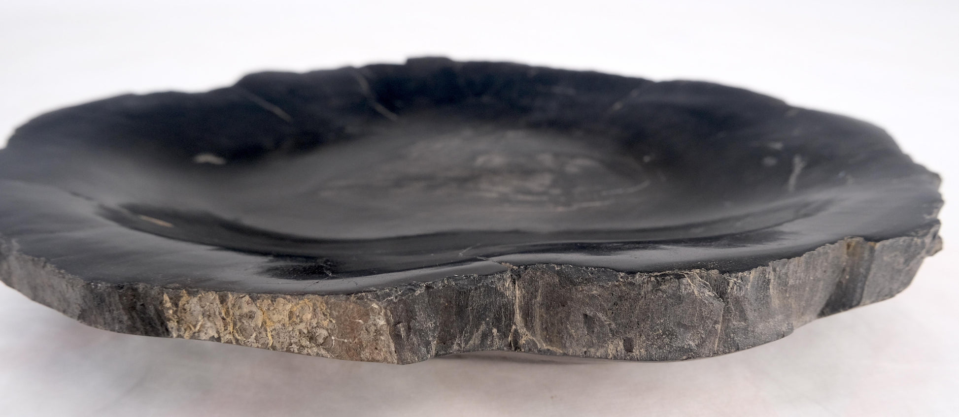 EstablishedLines Petrified Wood Round Shape Solid Black Round Bowl Dish Large Plate Ashtray