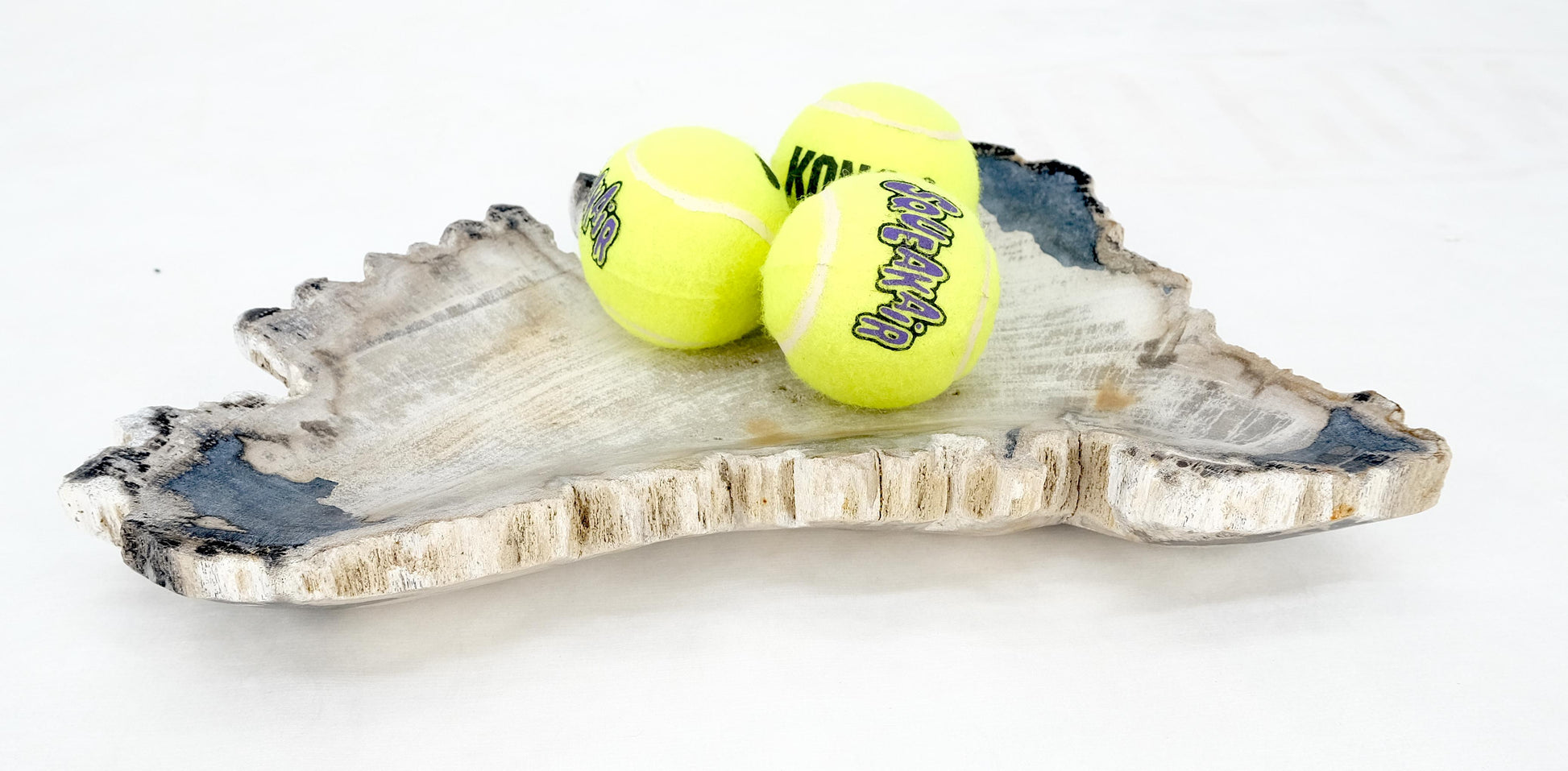 EstablishedLines Petrified Wood Antarctica Shape Solid Black & Tanl Bowl Dish Large Plate Ashtray