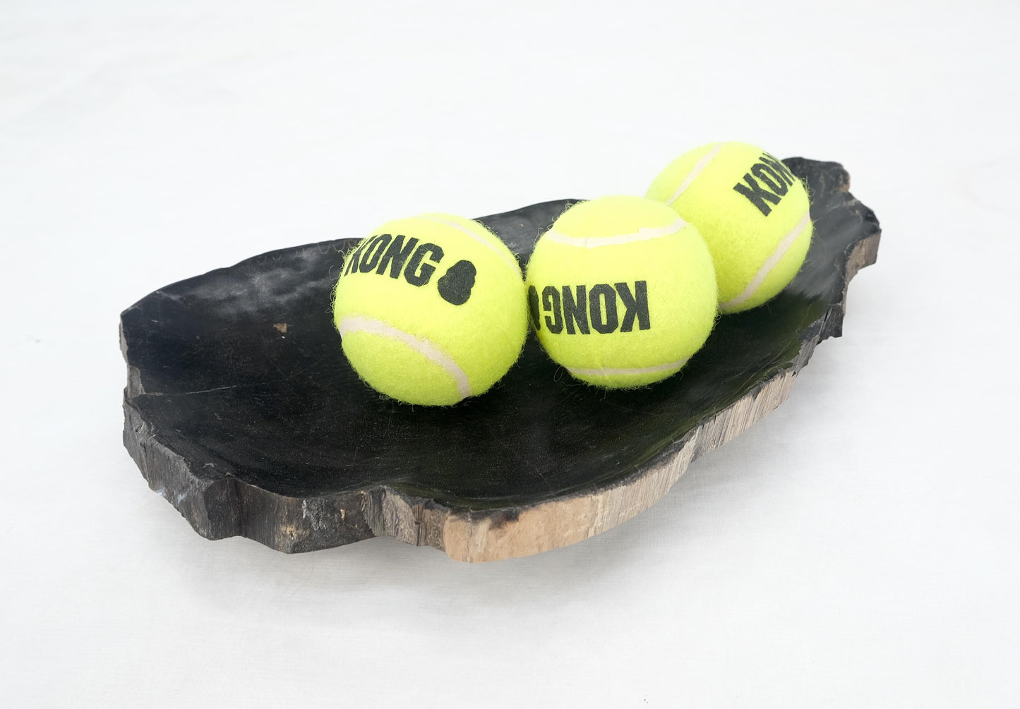 EstablishedLines Petrified Wood Liver Shape Solid Black Elongated Bowl Dish Large Plate Ashtray