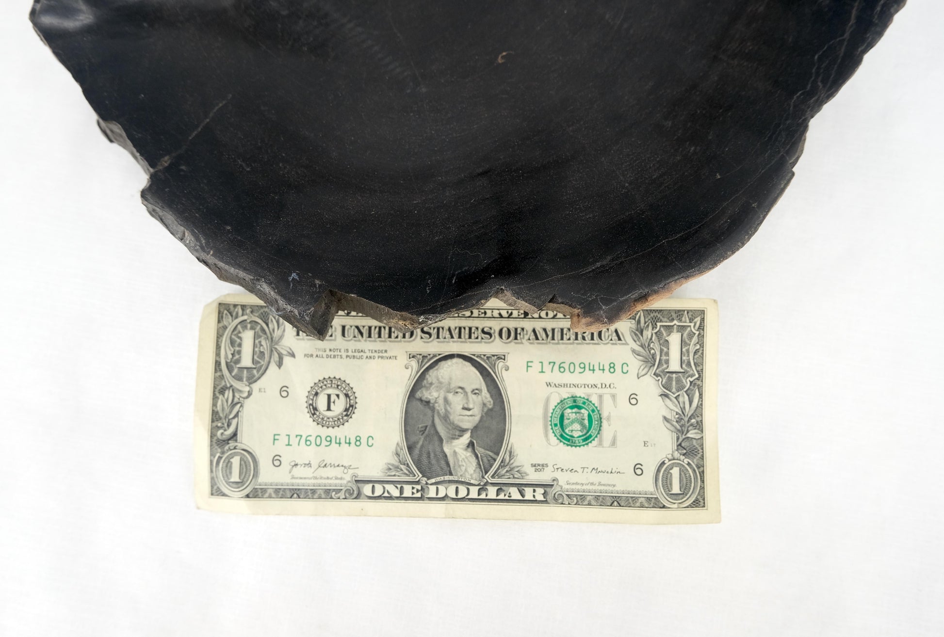 EstablishedLines Petrified Wood Liver Shape Solid Black Elongated Bowl Dish Large Plate Ashtray