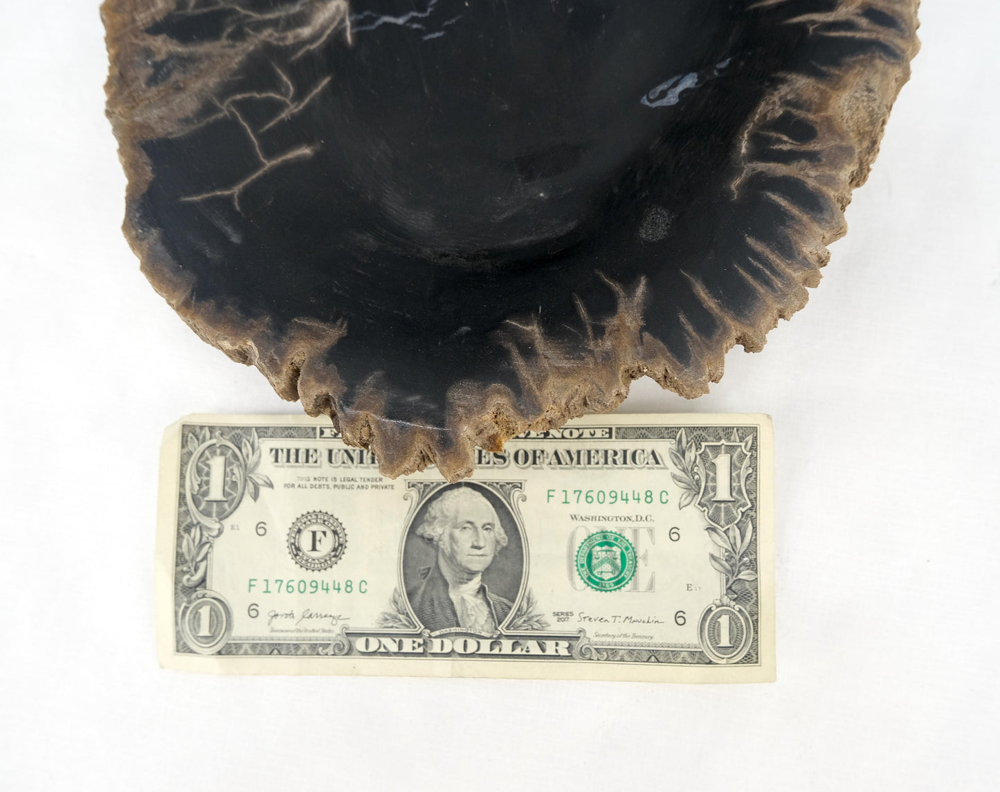 EstablishedLines Petrified Wood Heart Shape Solid Black Elongated Bowl Dish Large Plate Ashtray