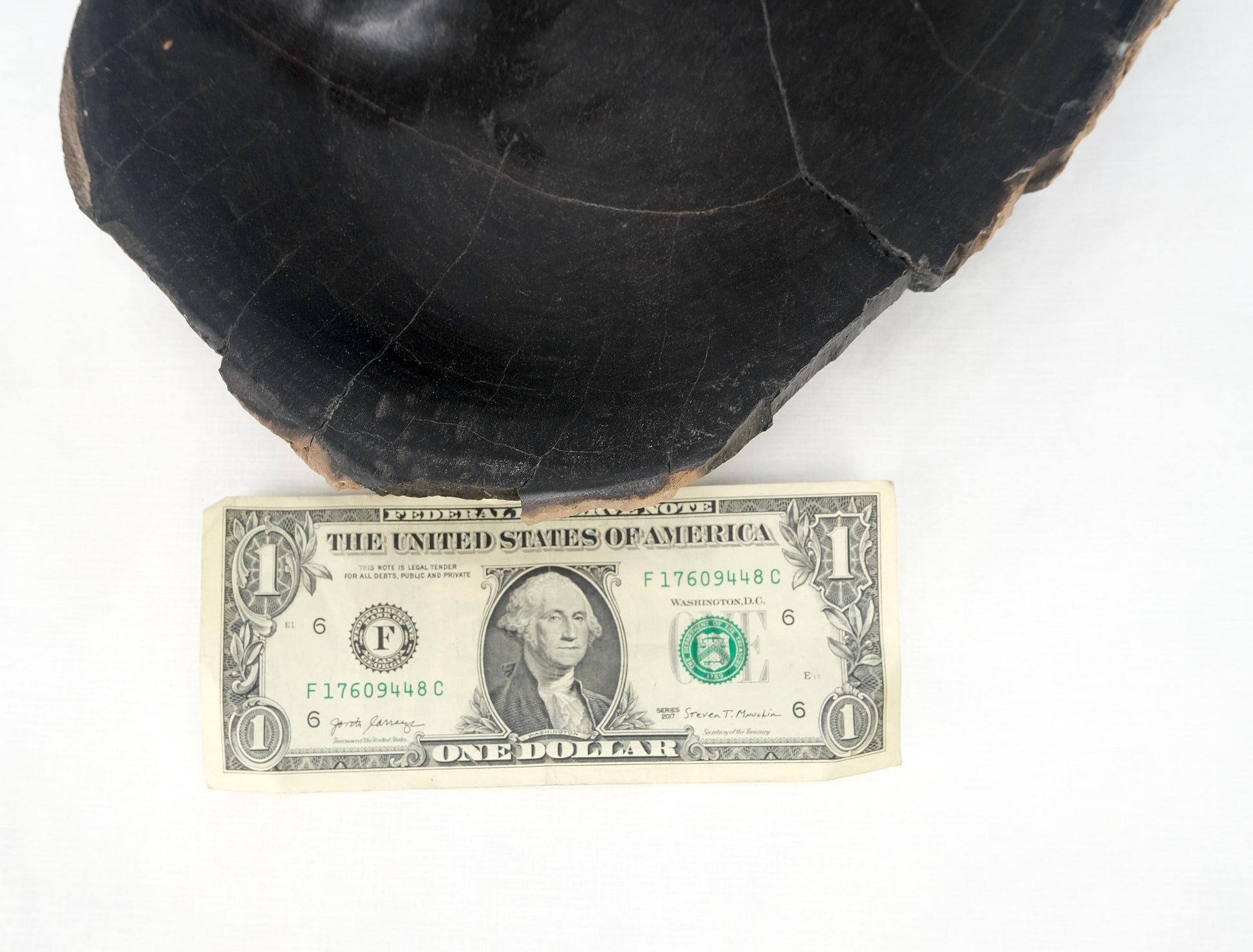 EstablishedLines Petrified Wood Round Shape Solid Black Round Bowl Dish Large Plate Ashtray MINT!