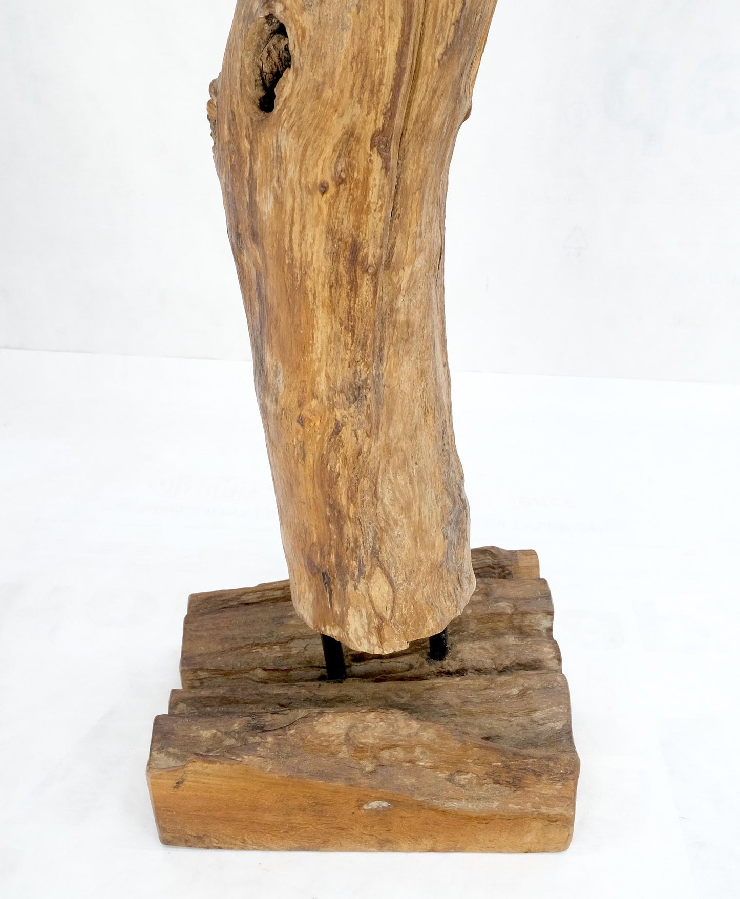 EstablishedLines Mid Century Modern 78" Tall Narrow Drift Wood Sculpture Specimen on Wooden Base